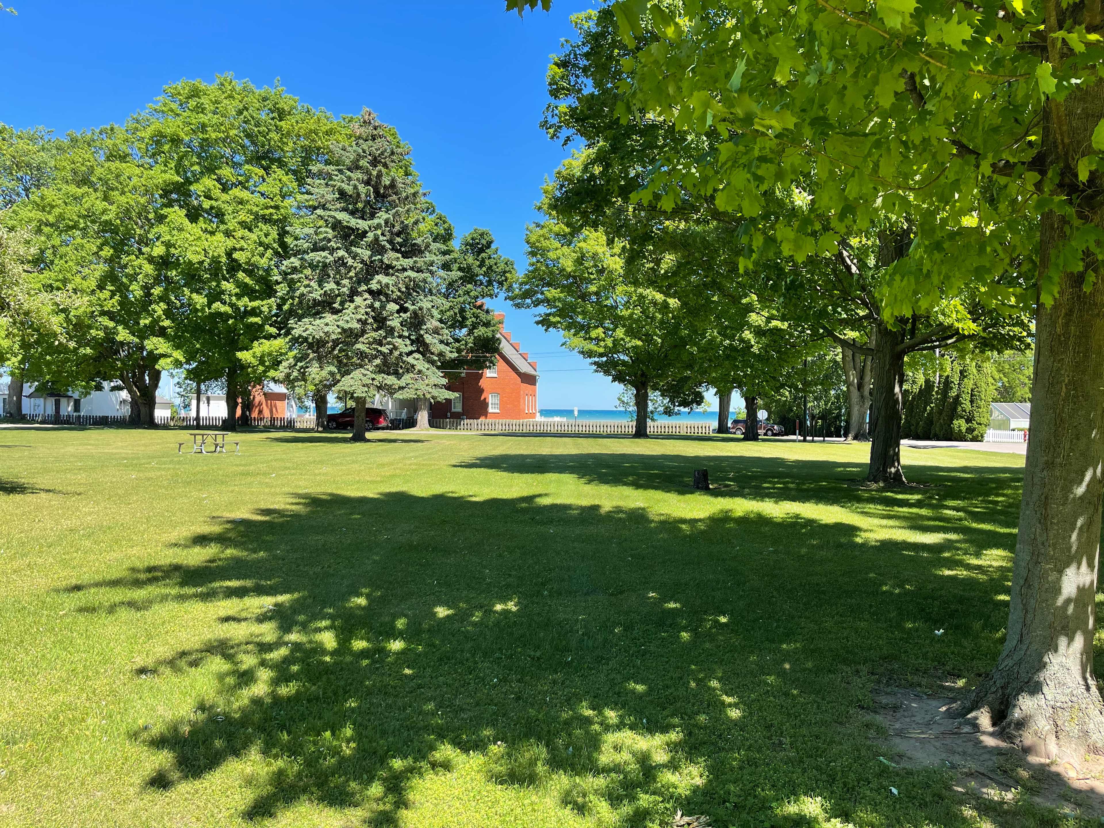 Picture of the site