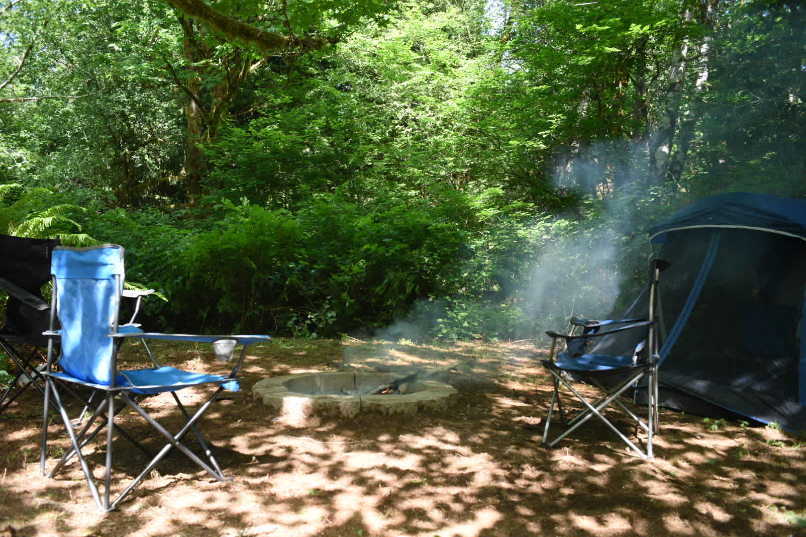 Picture of the site