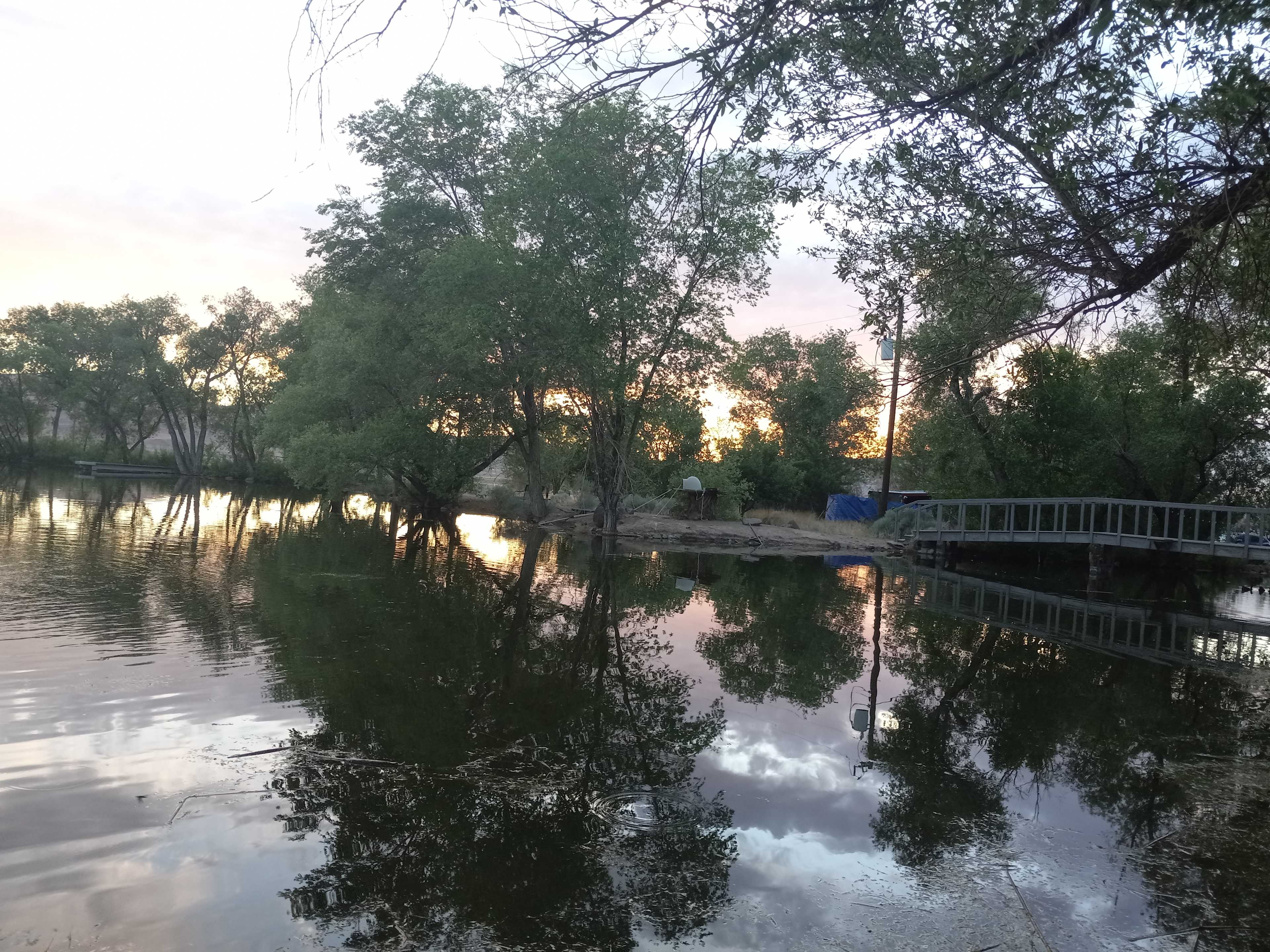 Pond