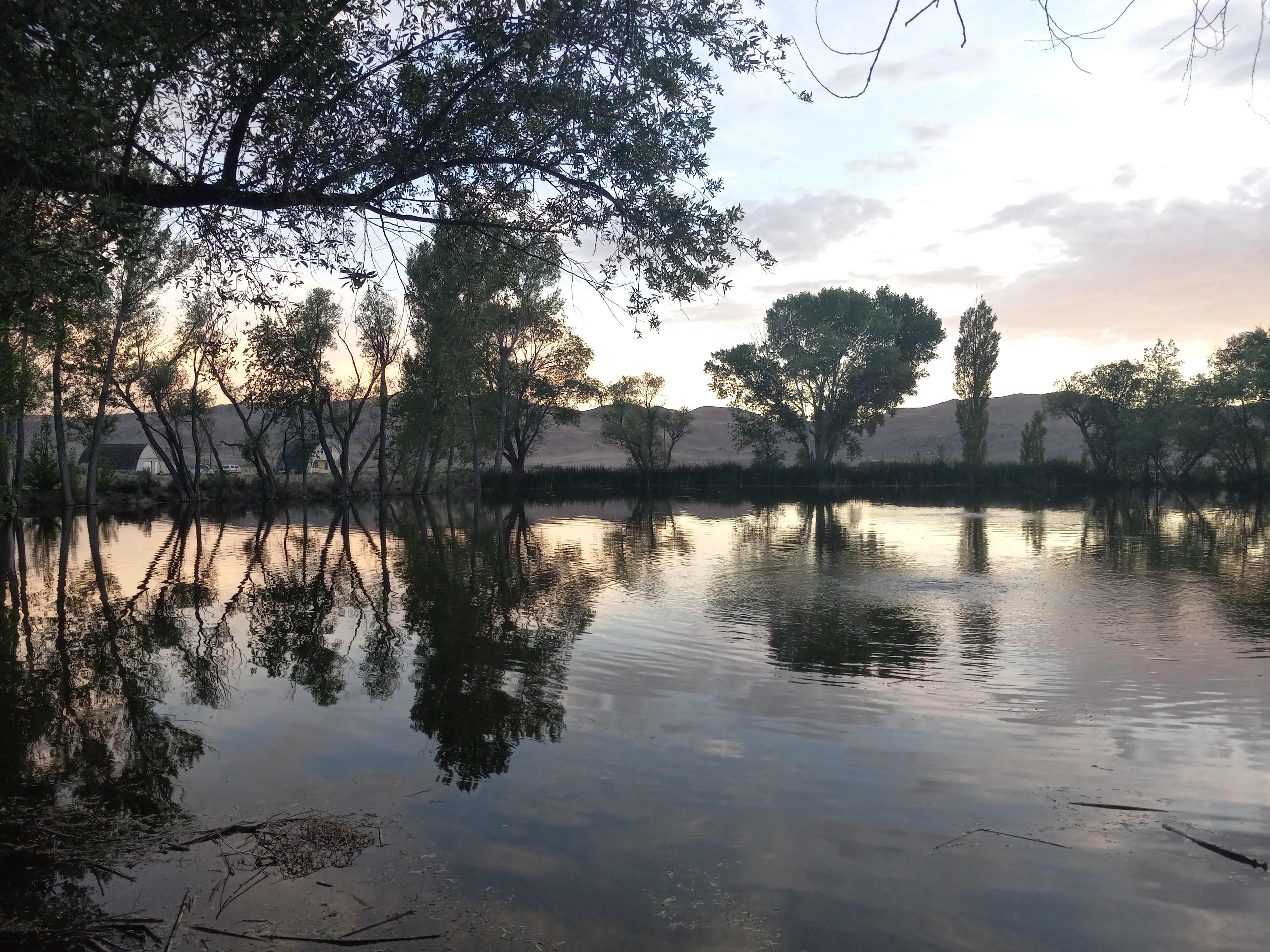 Campsite