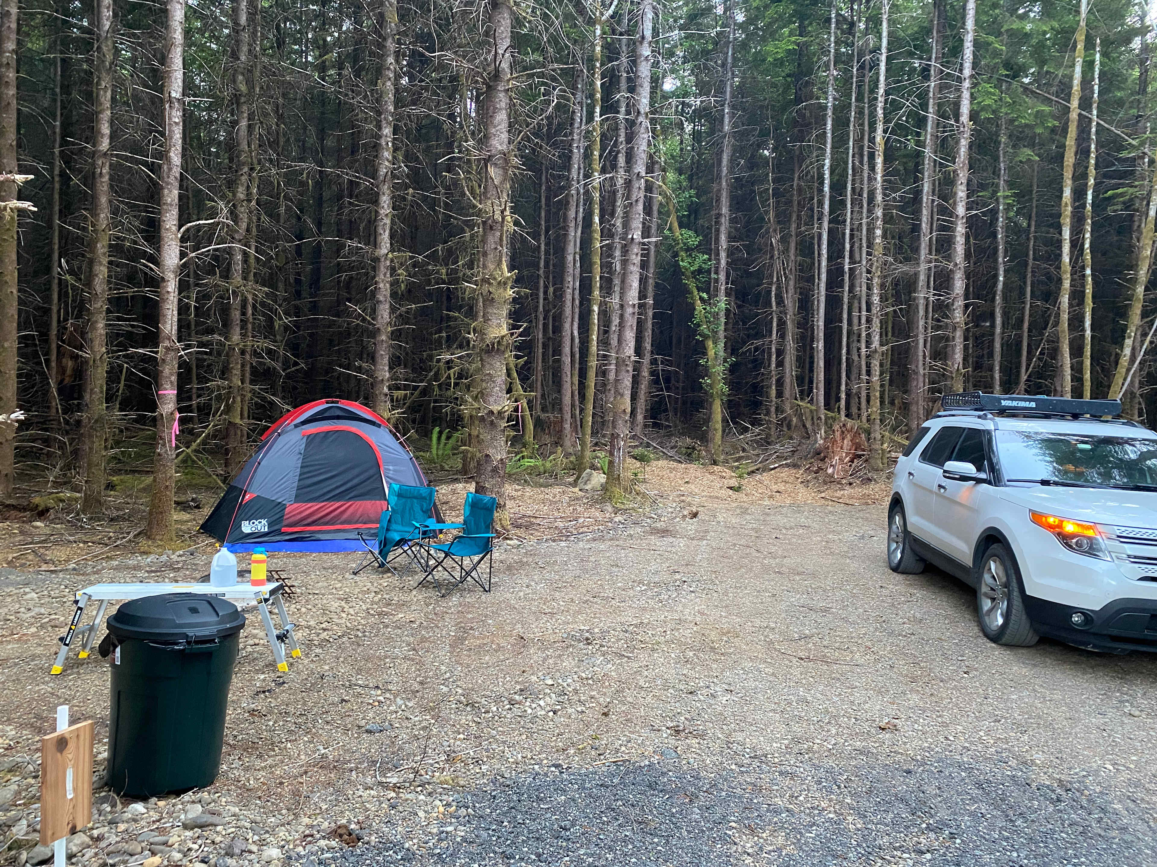 Picture of the site