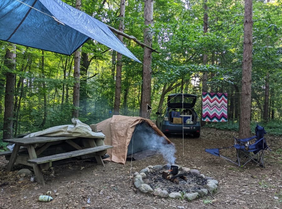 Picture of the site