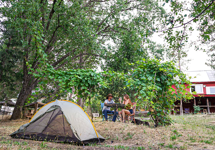 Jackass Hostel