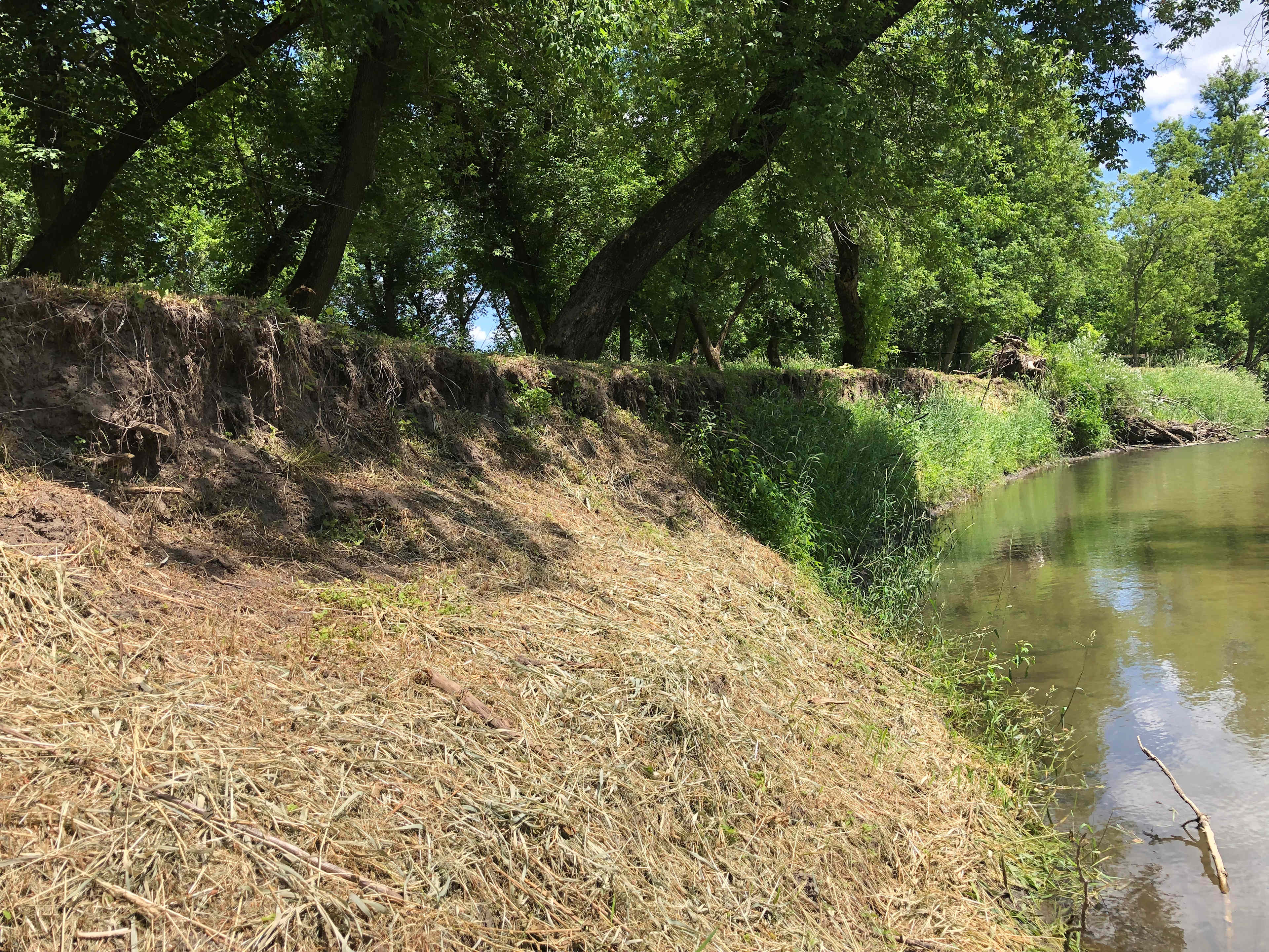 Picture of the site