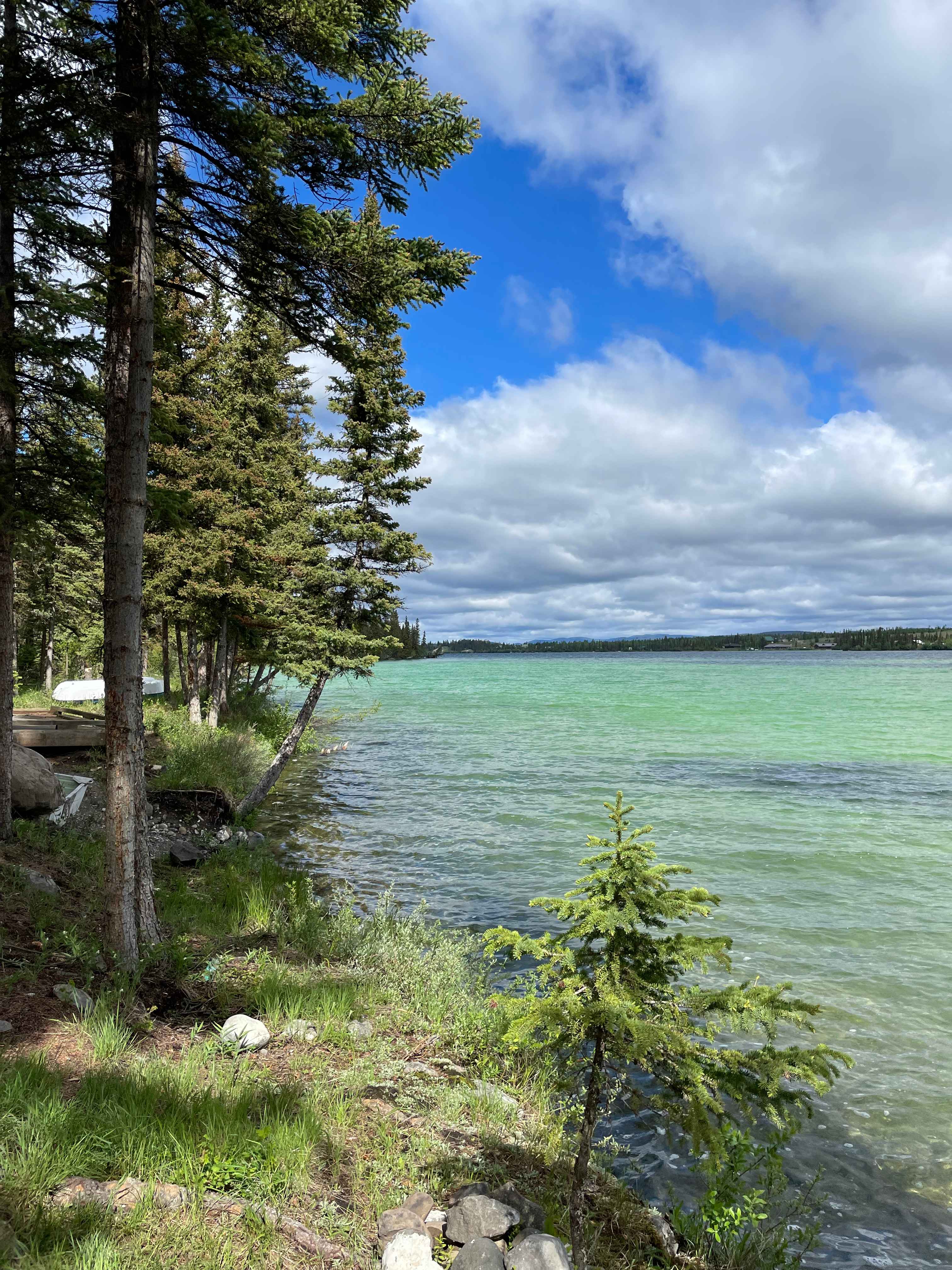Sunset Knoll Sites on Big Bar Lake