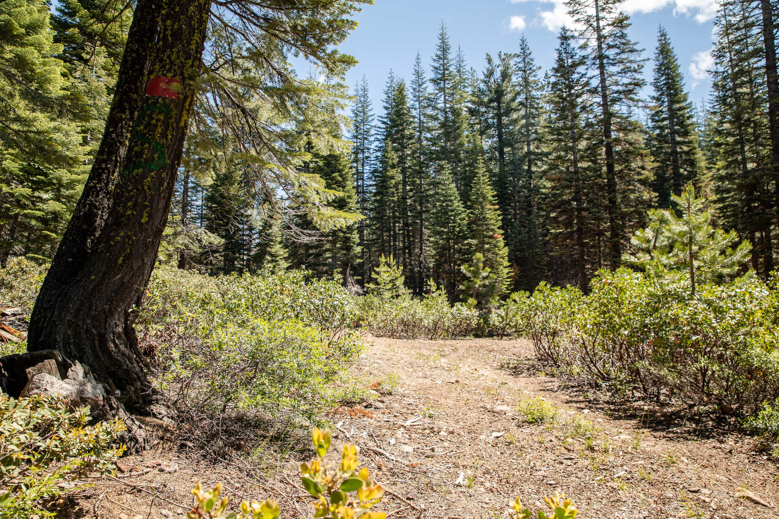 Entry to the property