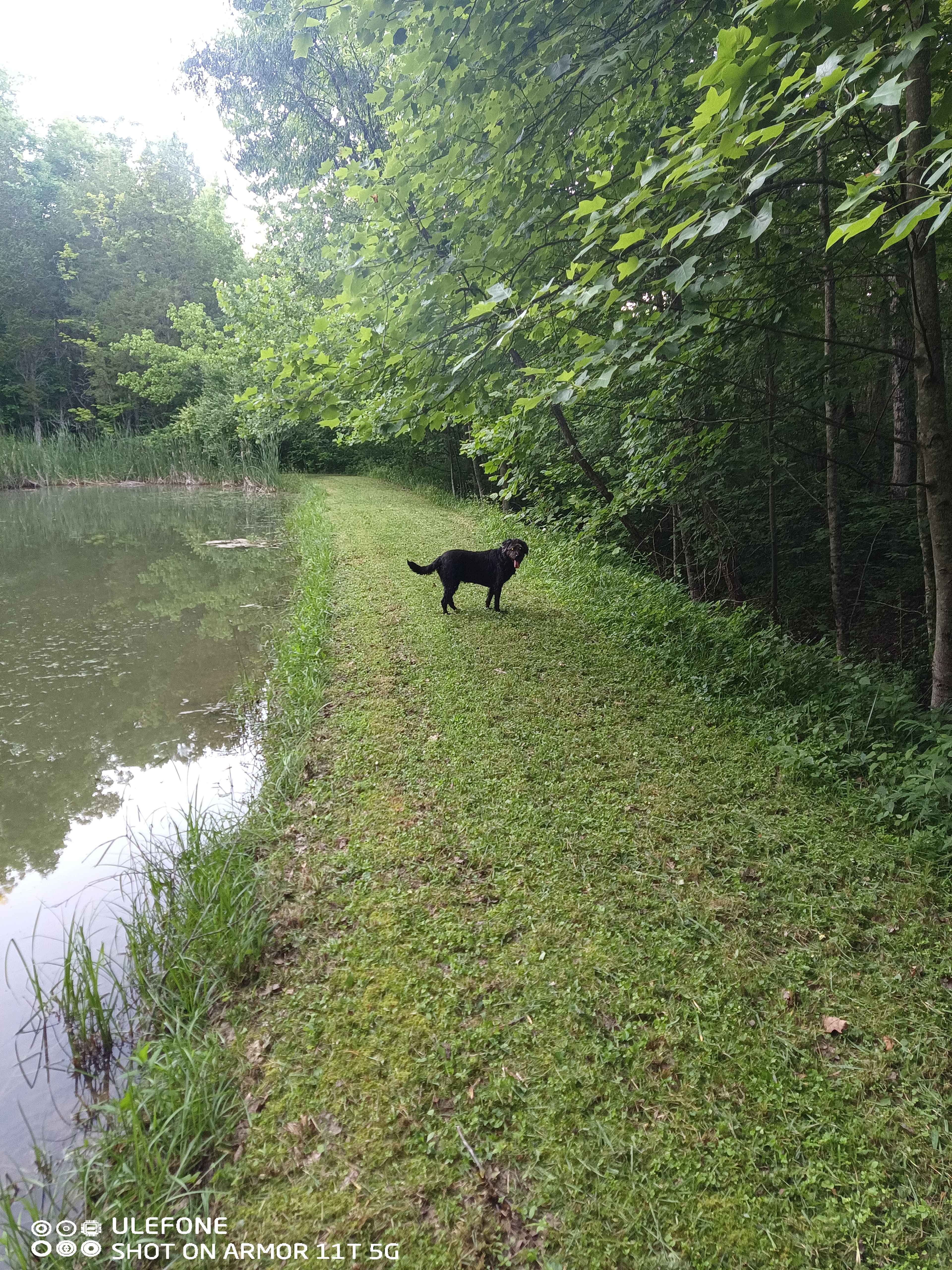 Bear Pond