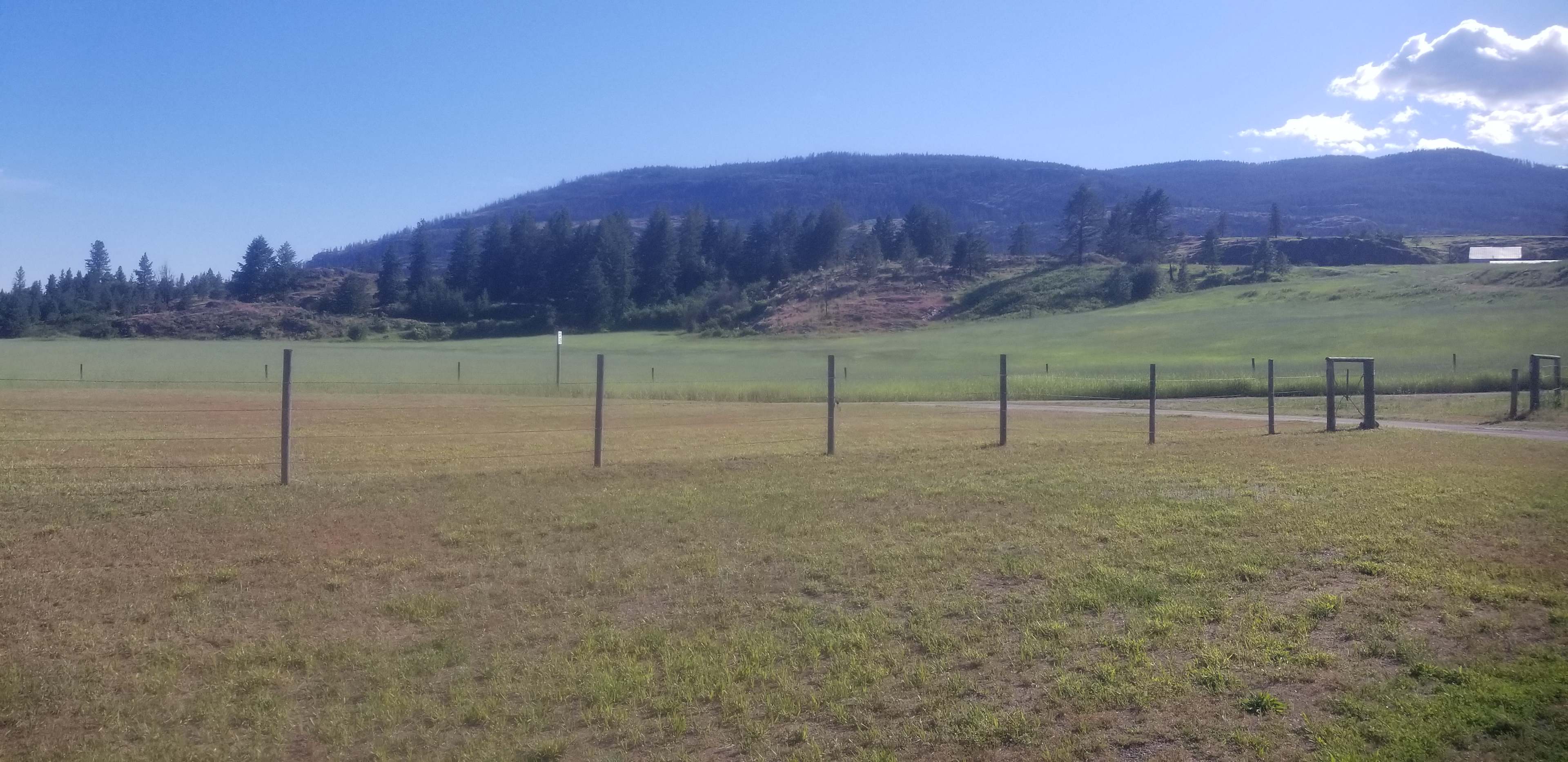 View from site.