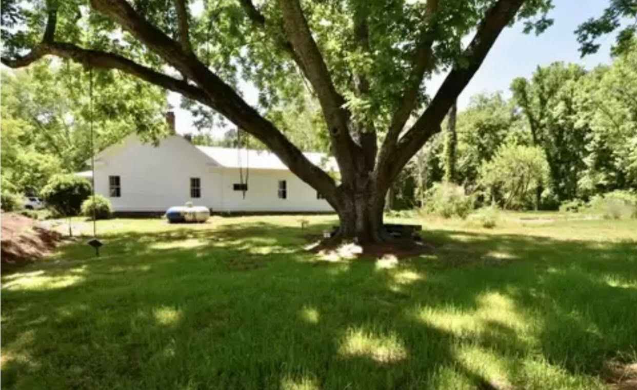 While your camping spot is on the other side of the house, feel free to wander about and explore other shared spaces in the yard!❤️🤙🏼🏕 Like this beautiful olden Pecan Tree that is producing edible pecans this 2022fall!!