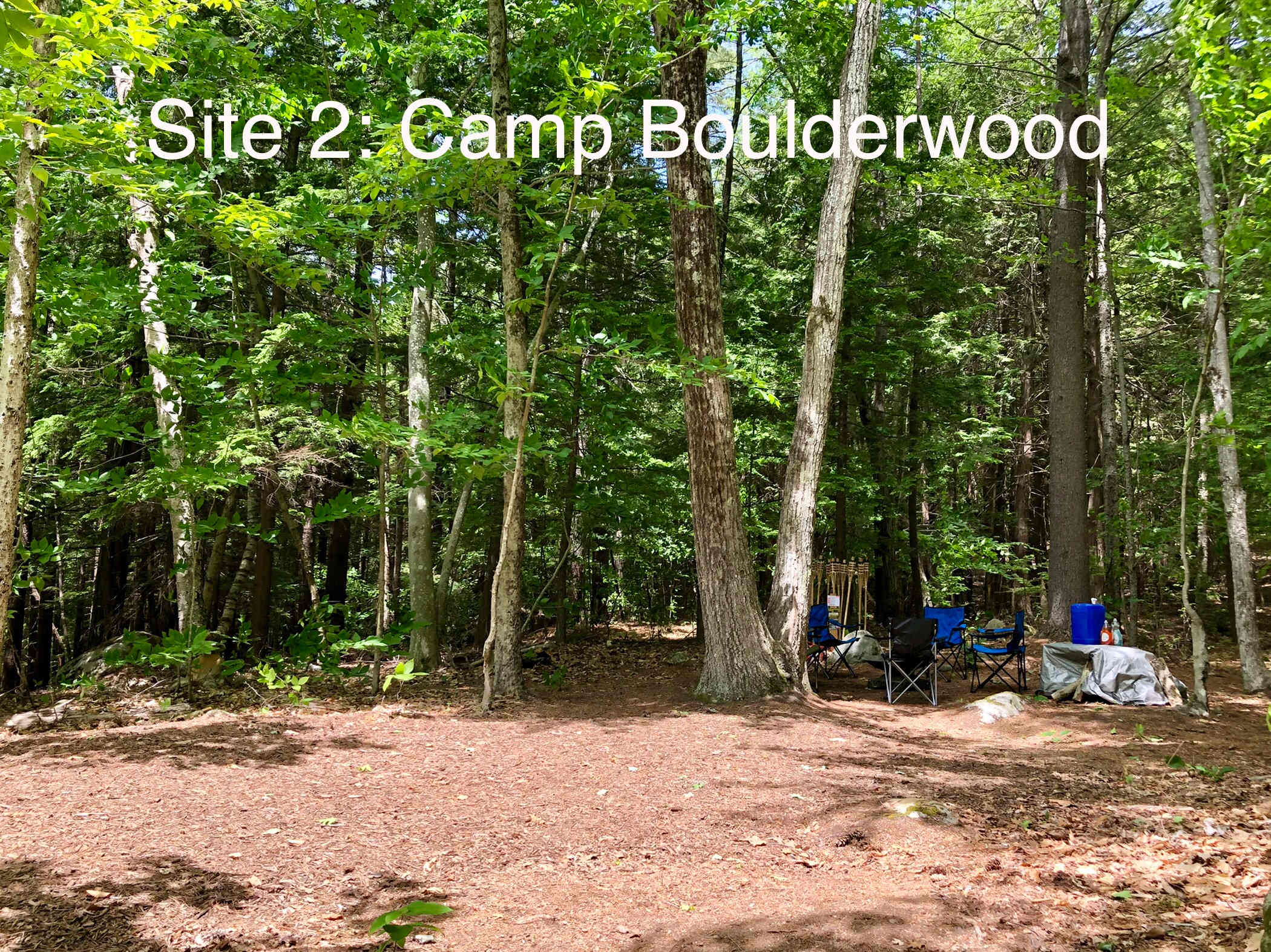 Picture of the site