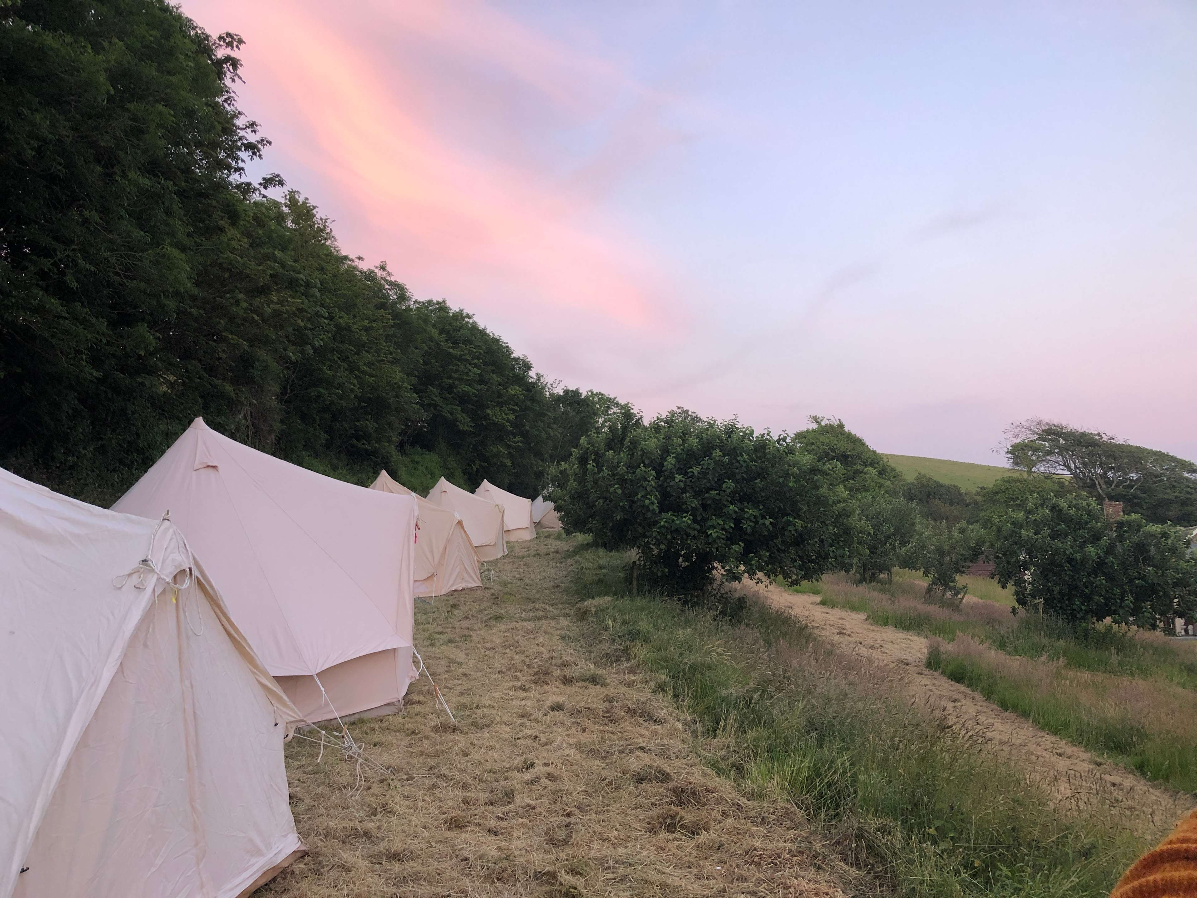 Swell Camping at The Orchard