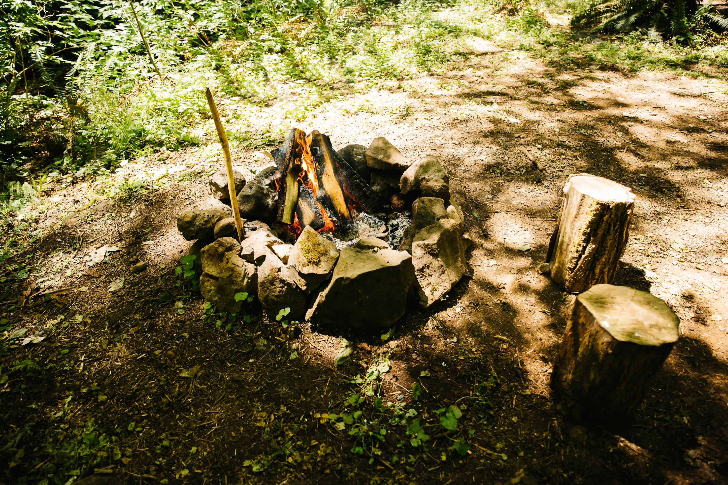 Picture of the site