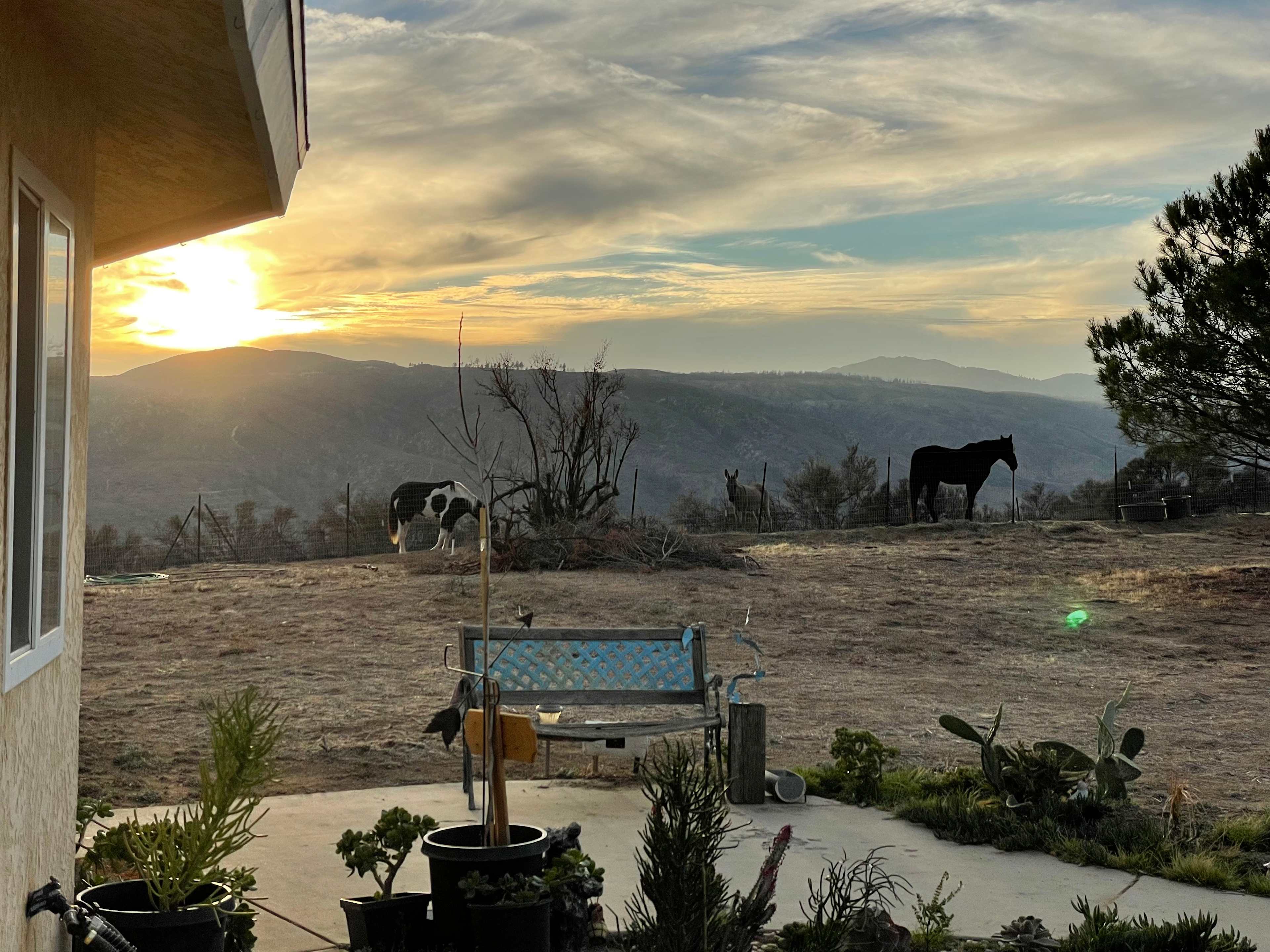 Wild Horizon Farm