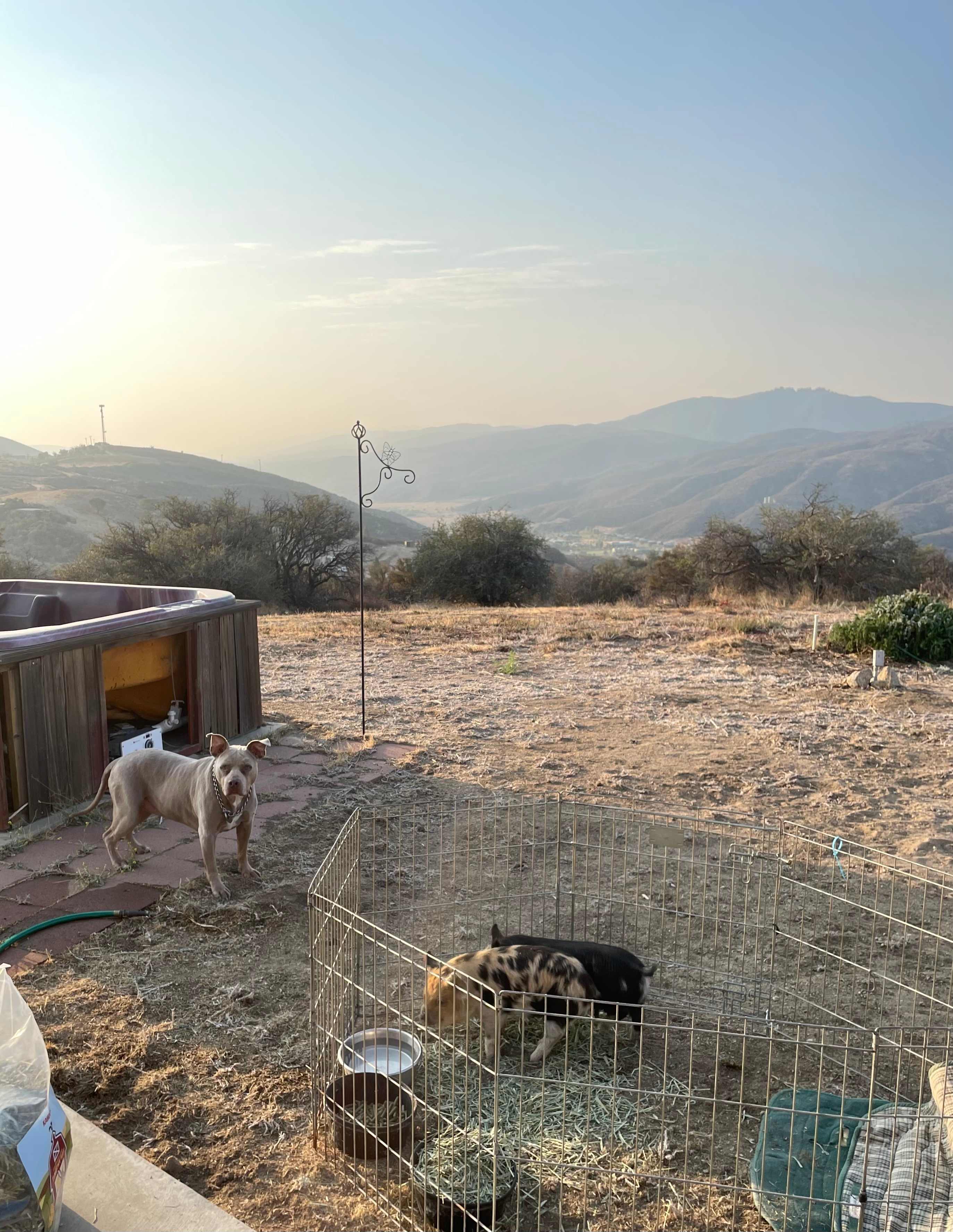 Wild Horizon Farm