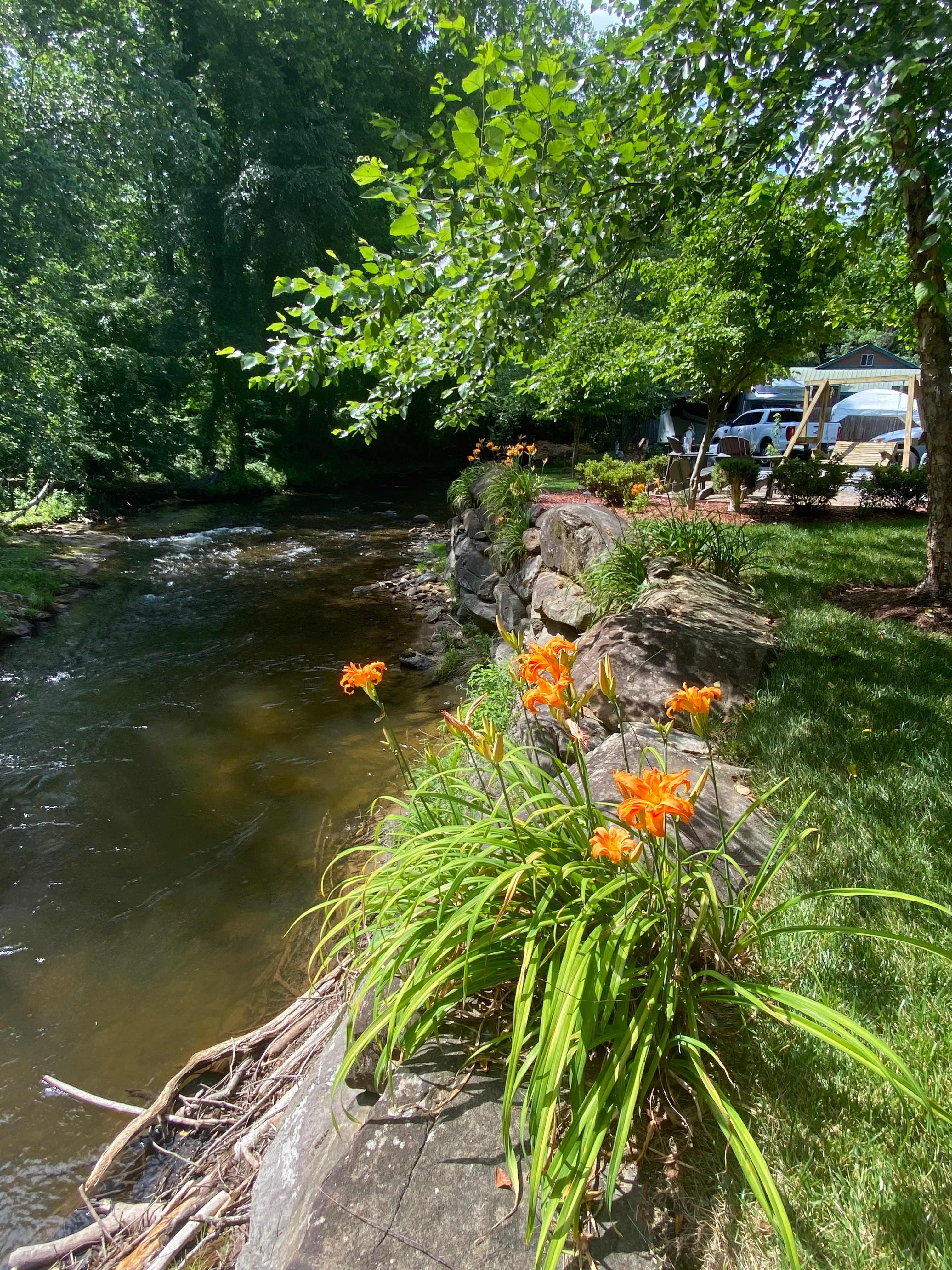 Picture of the site