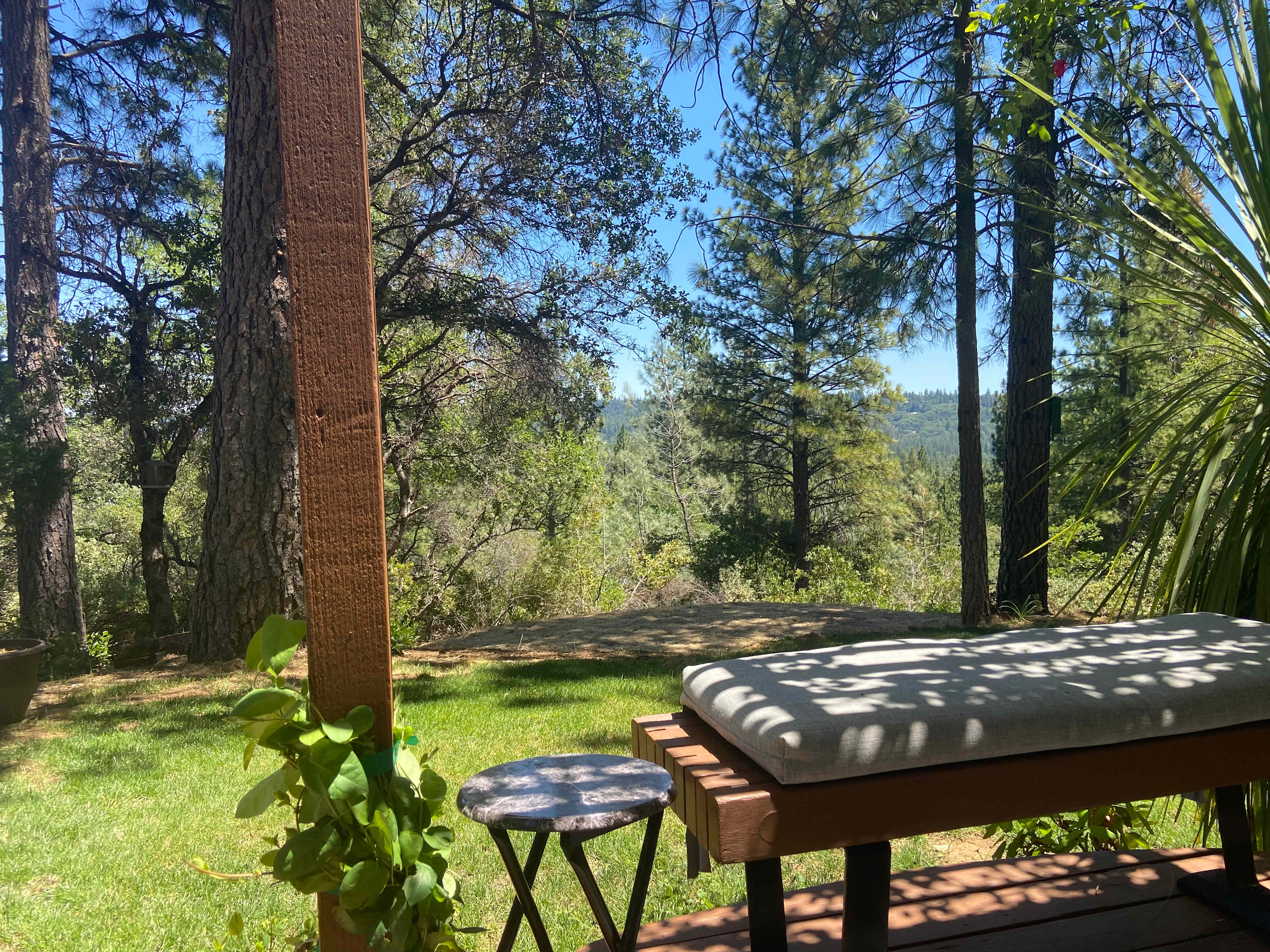 Peace in the Pines