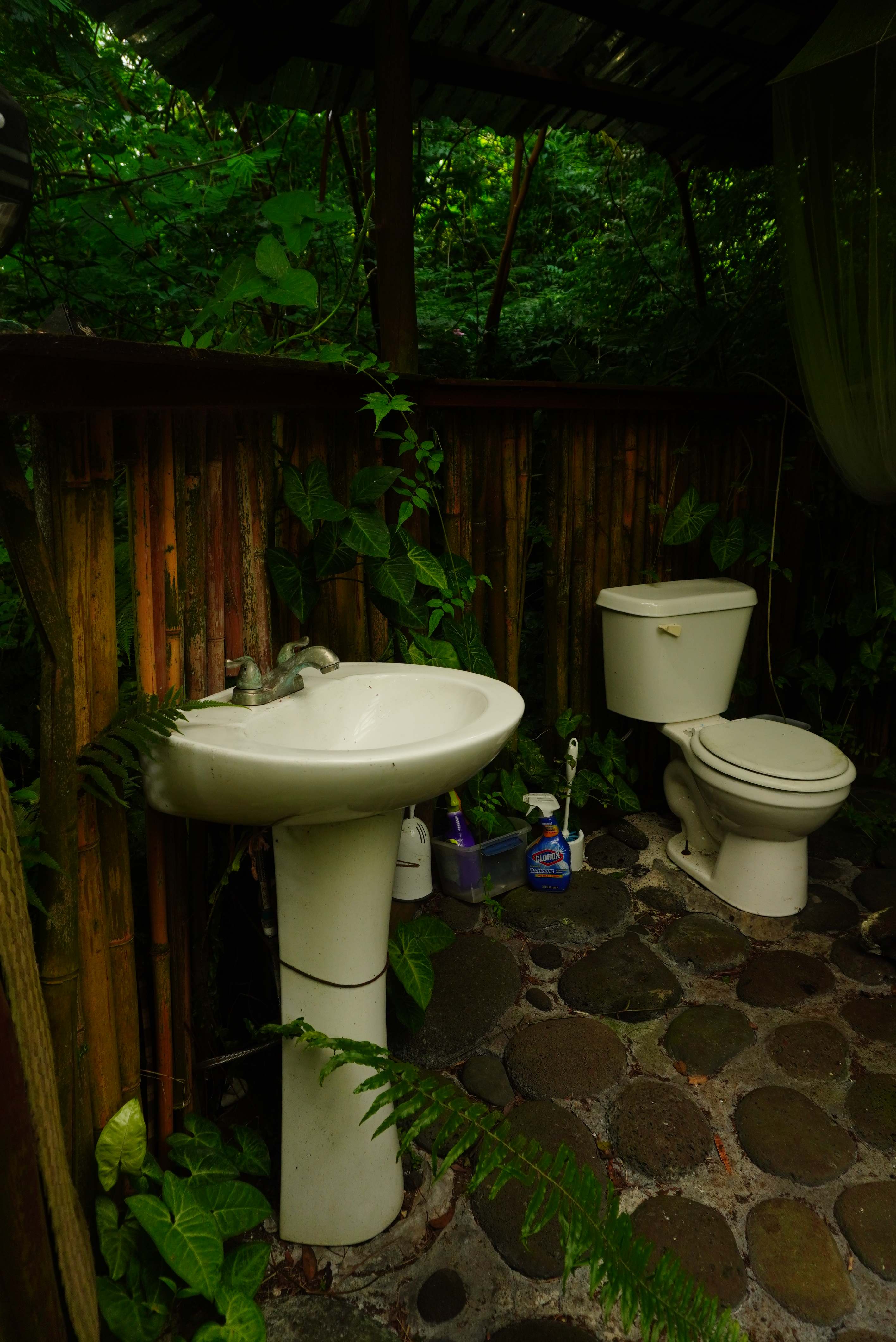 Detached toilet room down a trail of lilikoi vines about 20 feet from the hale