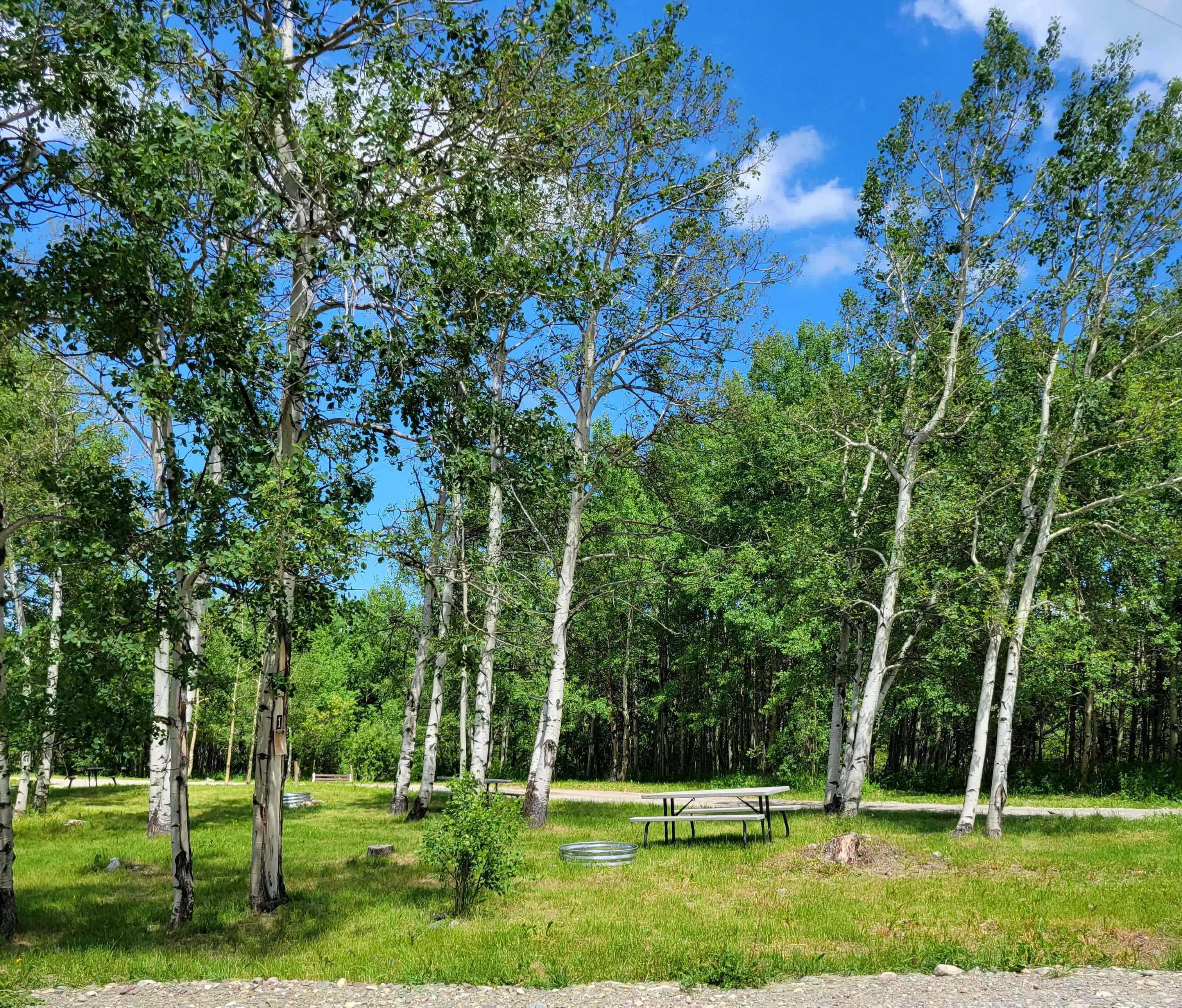 Picture of the site