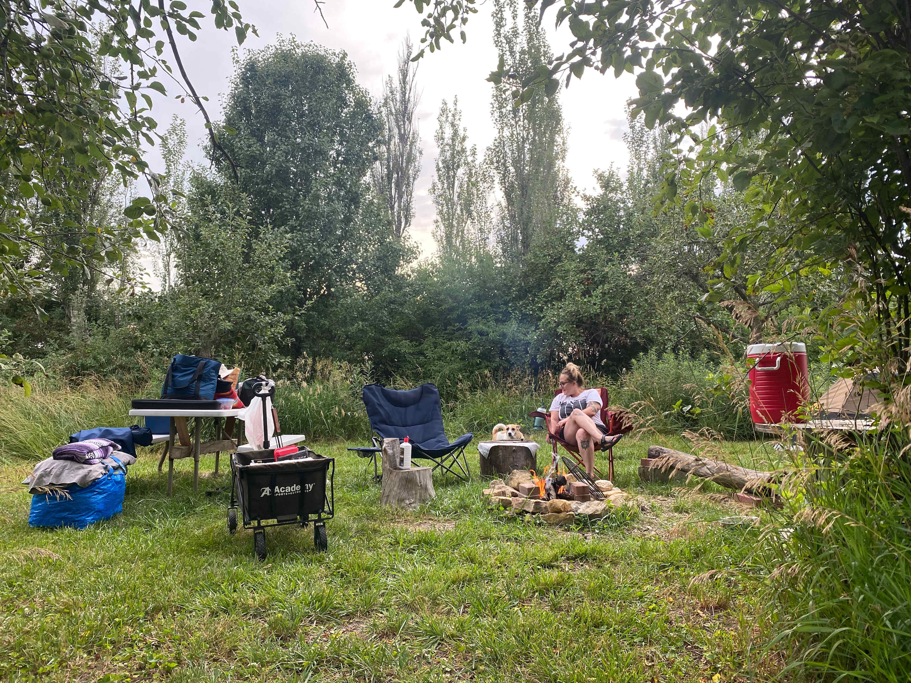 Picture of the site