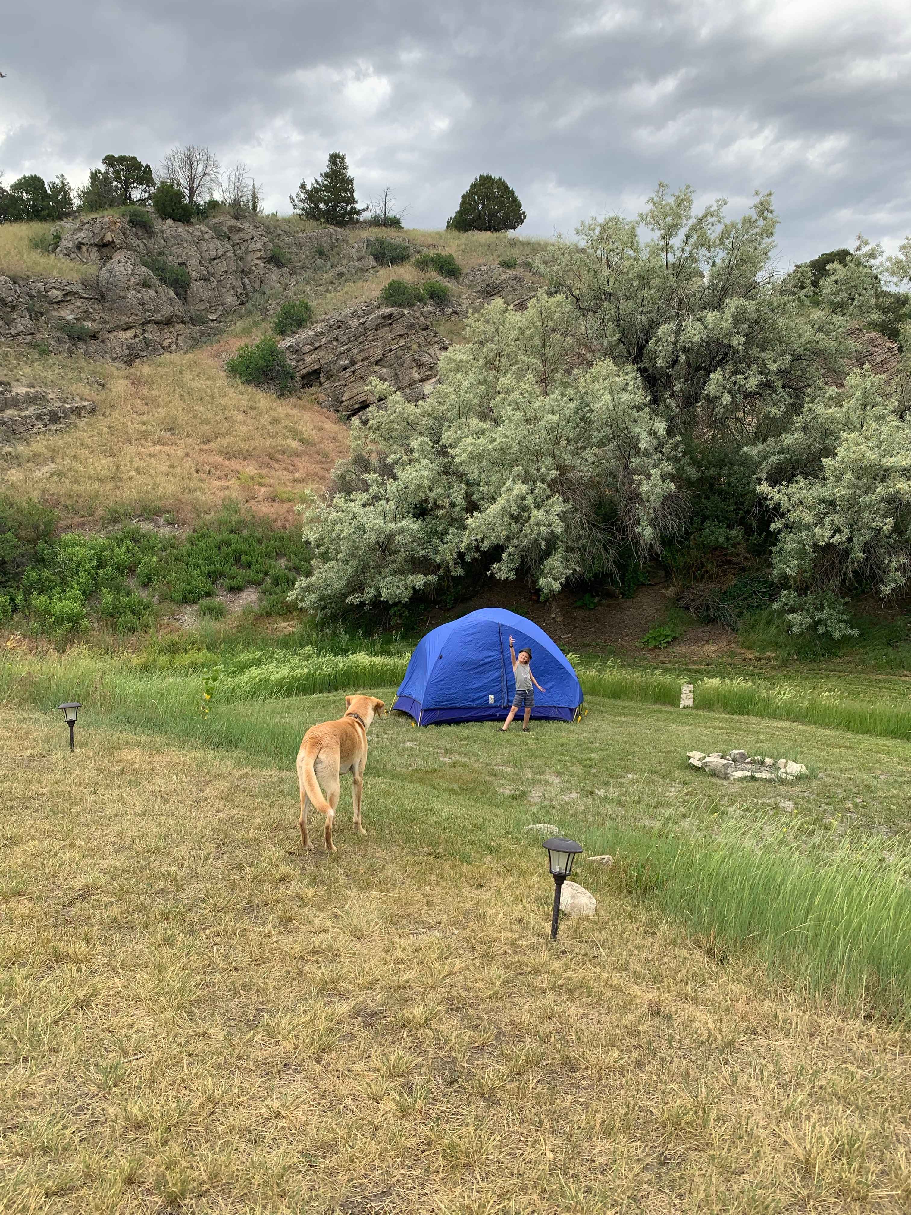 Picture of the site