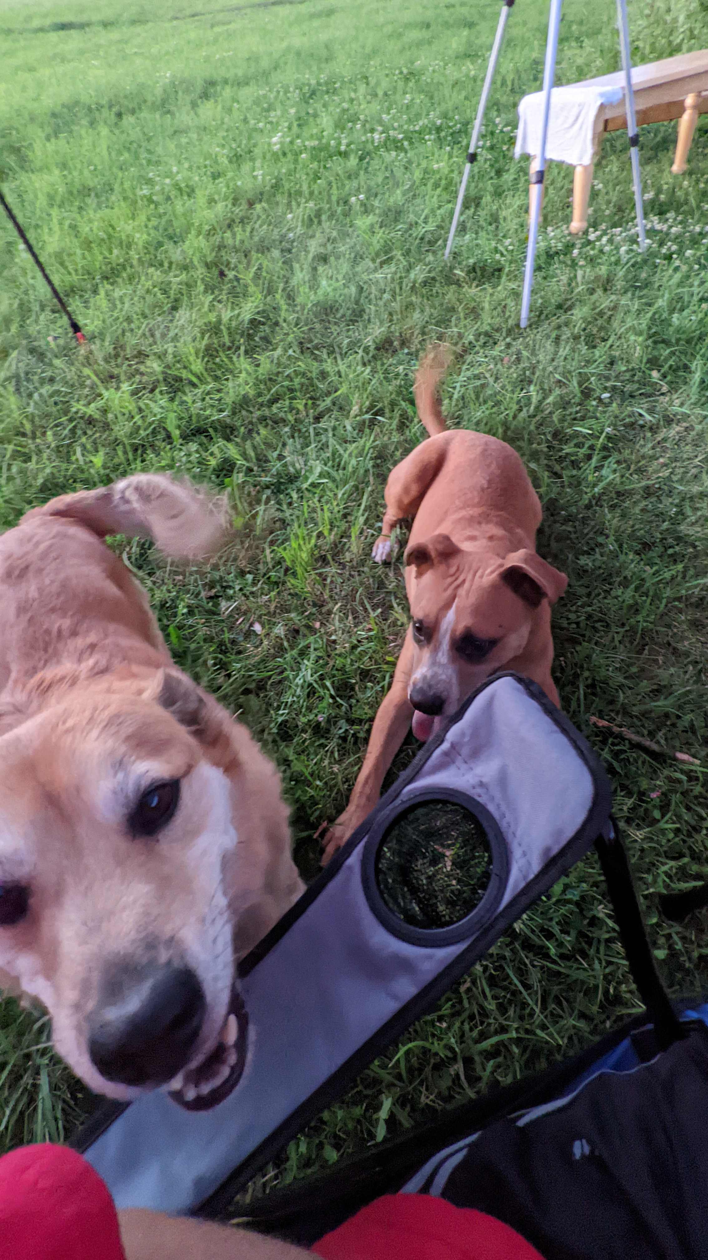 Stare Line Bunks