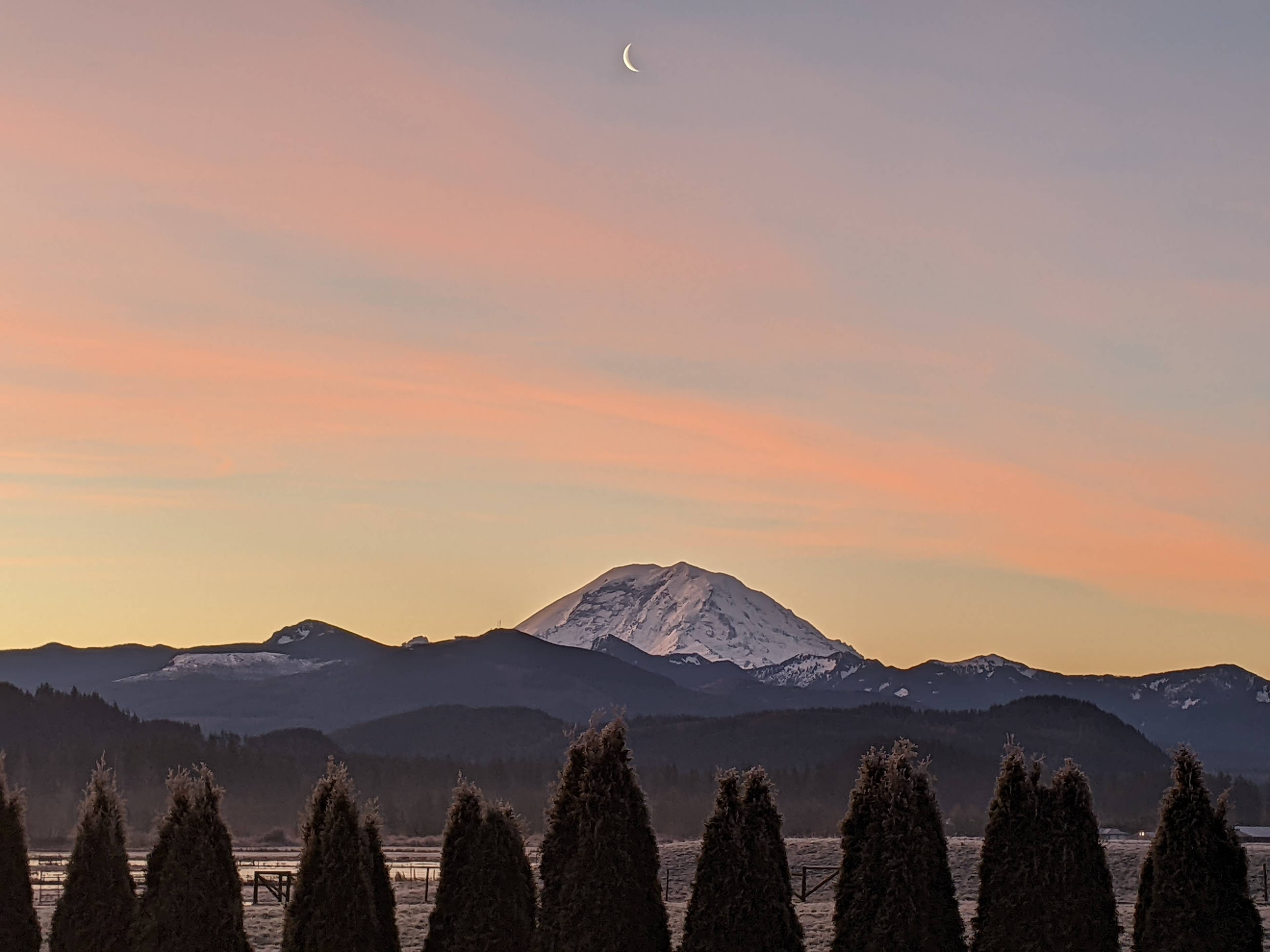 View from the backyard.
