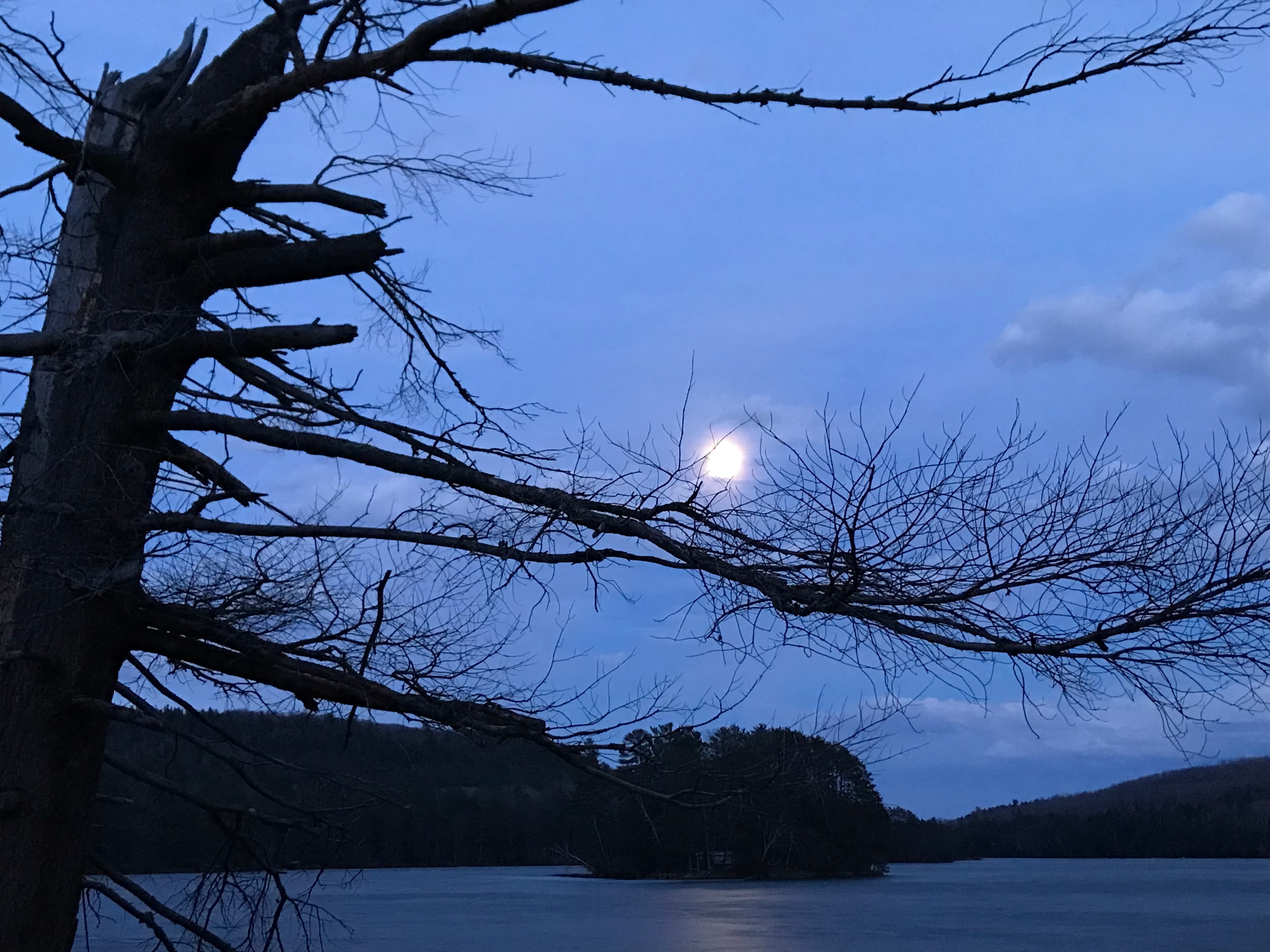 Stunning night skies!