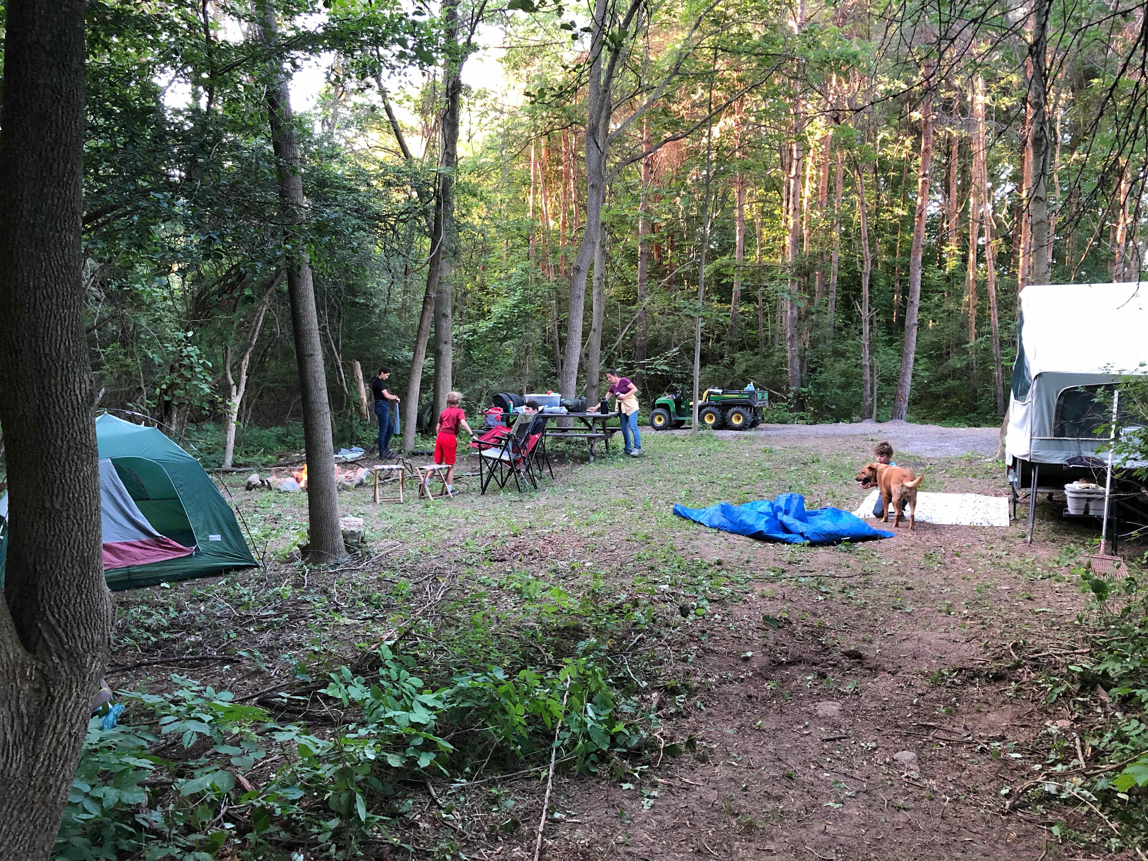 White Creek Wood