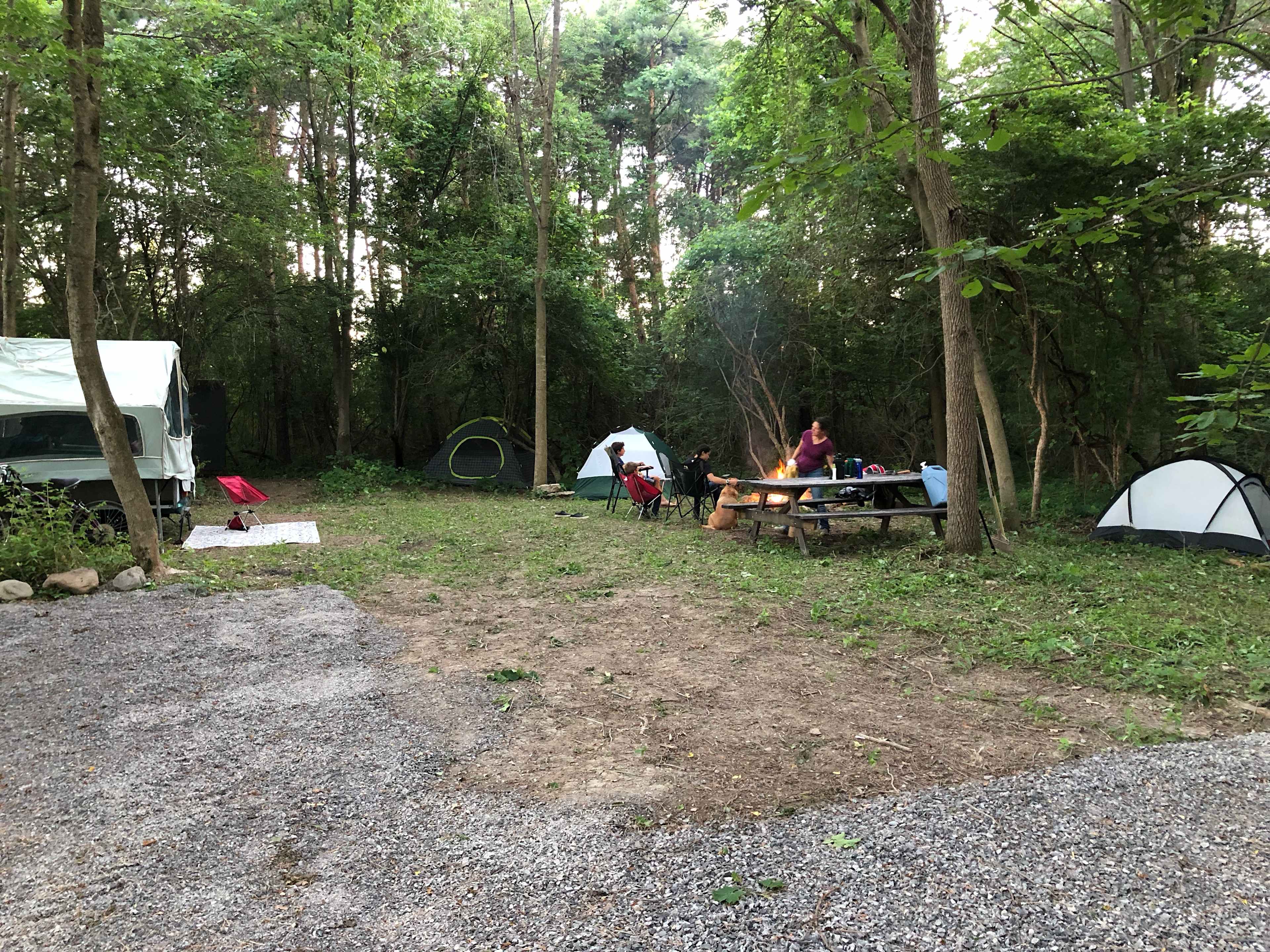 White Creek Wood