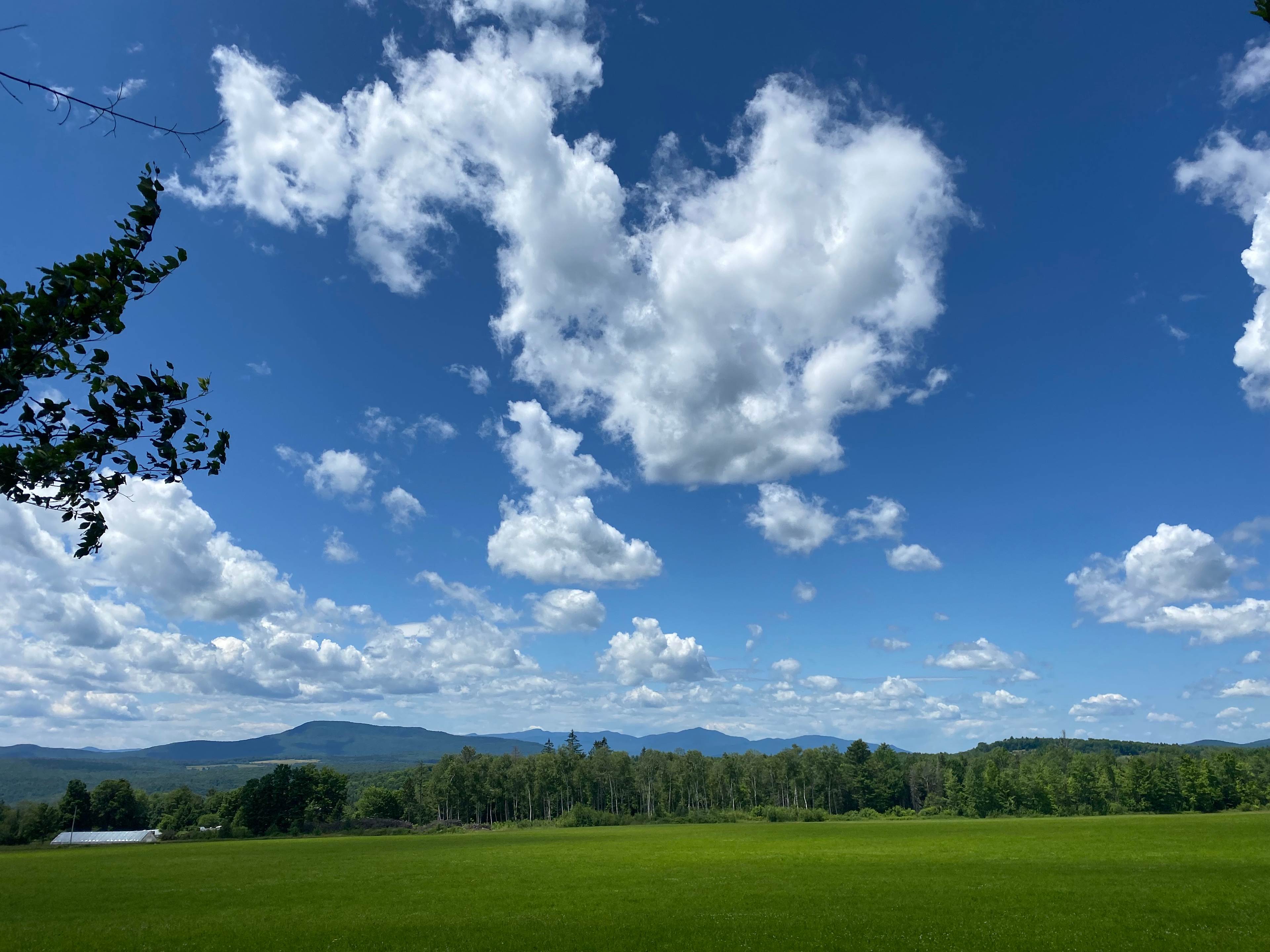 Feel Good Farm