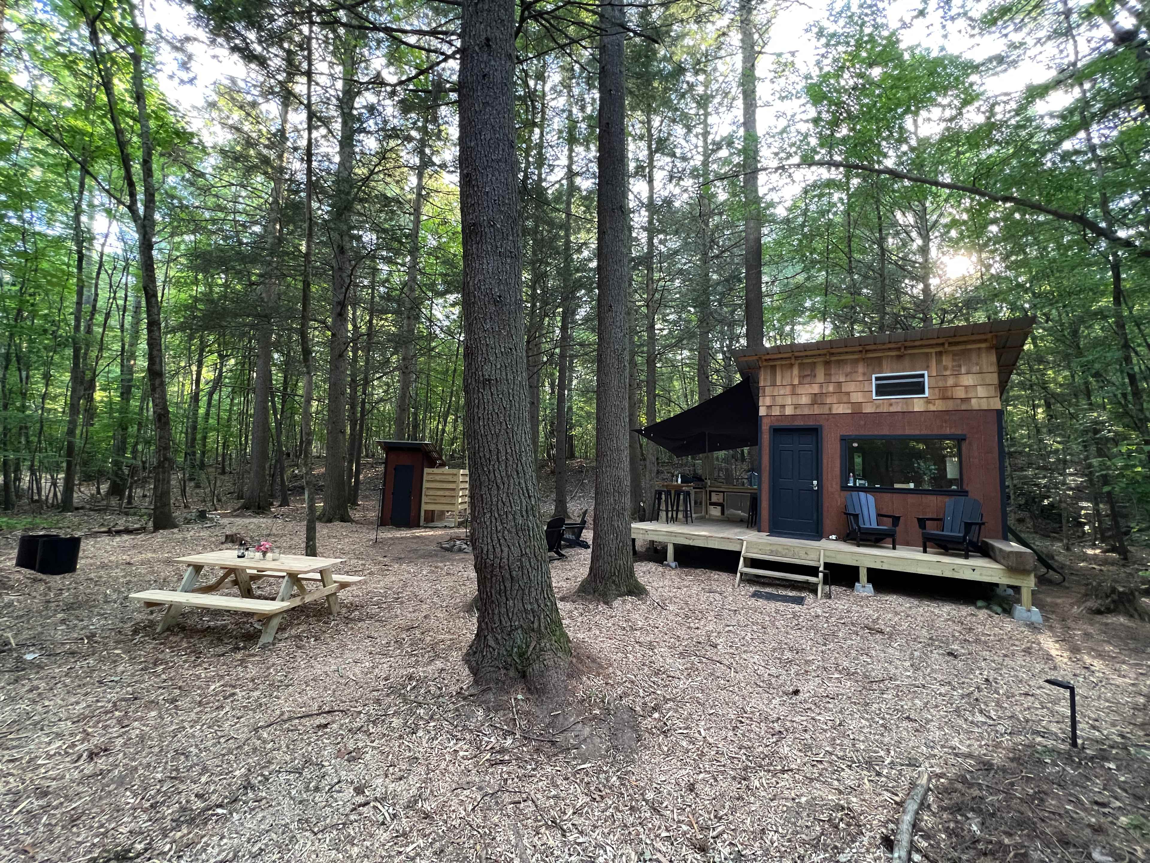 Picture of the site