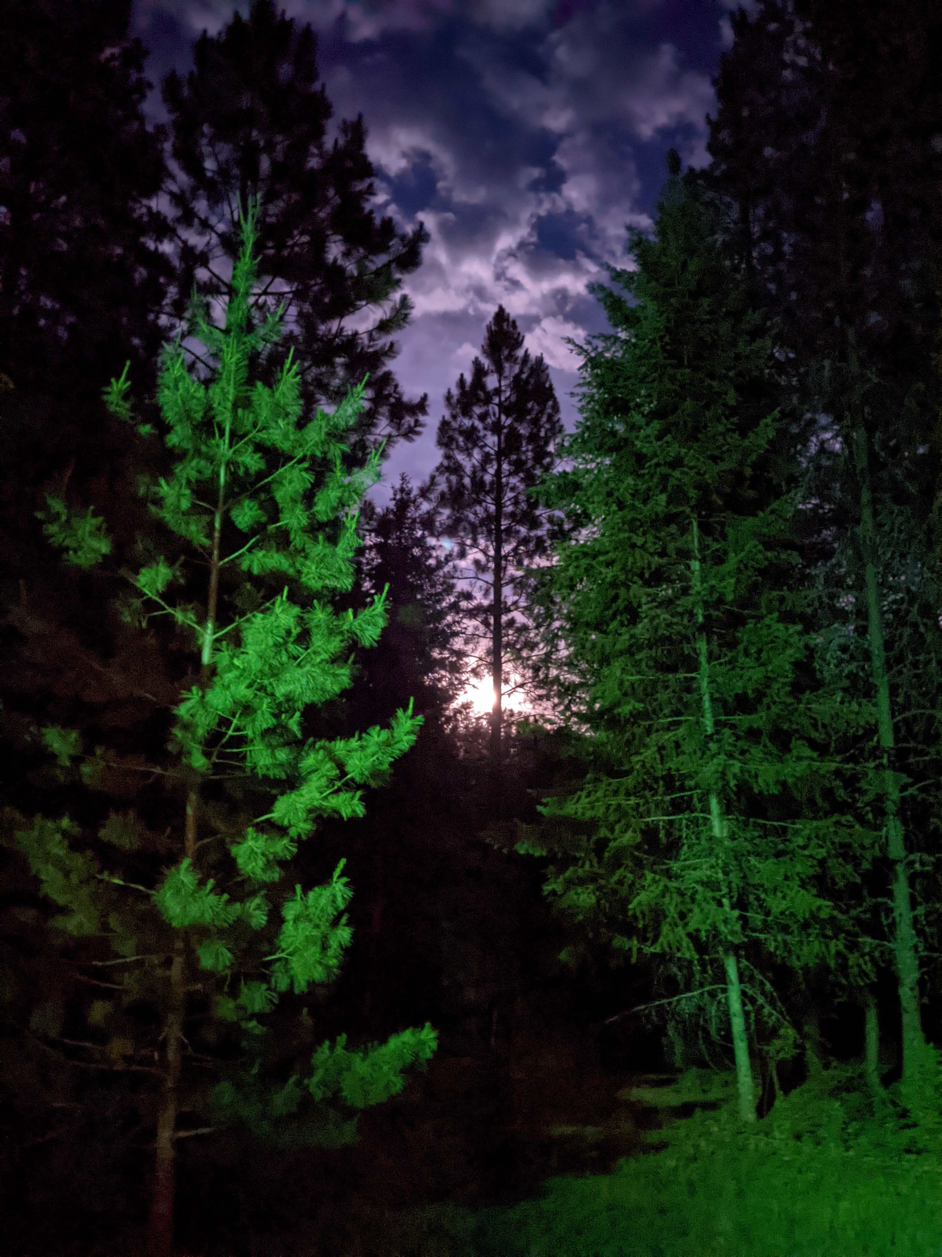 Night shot on property