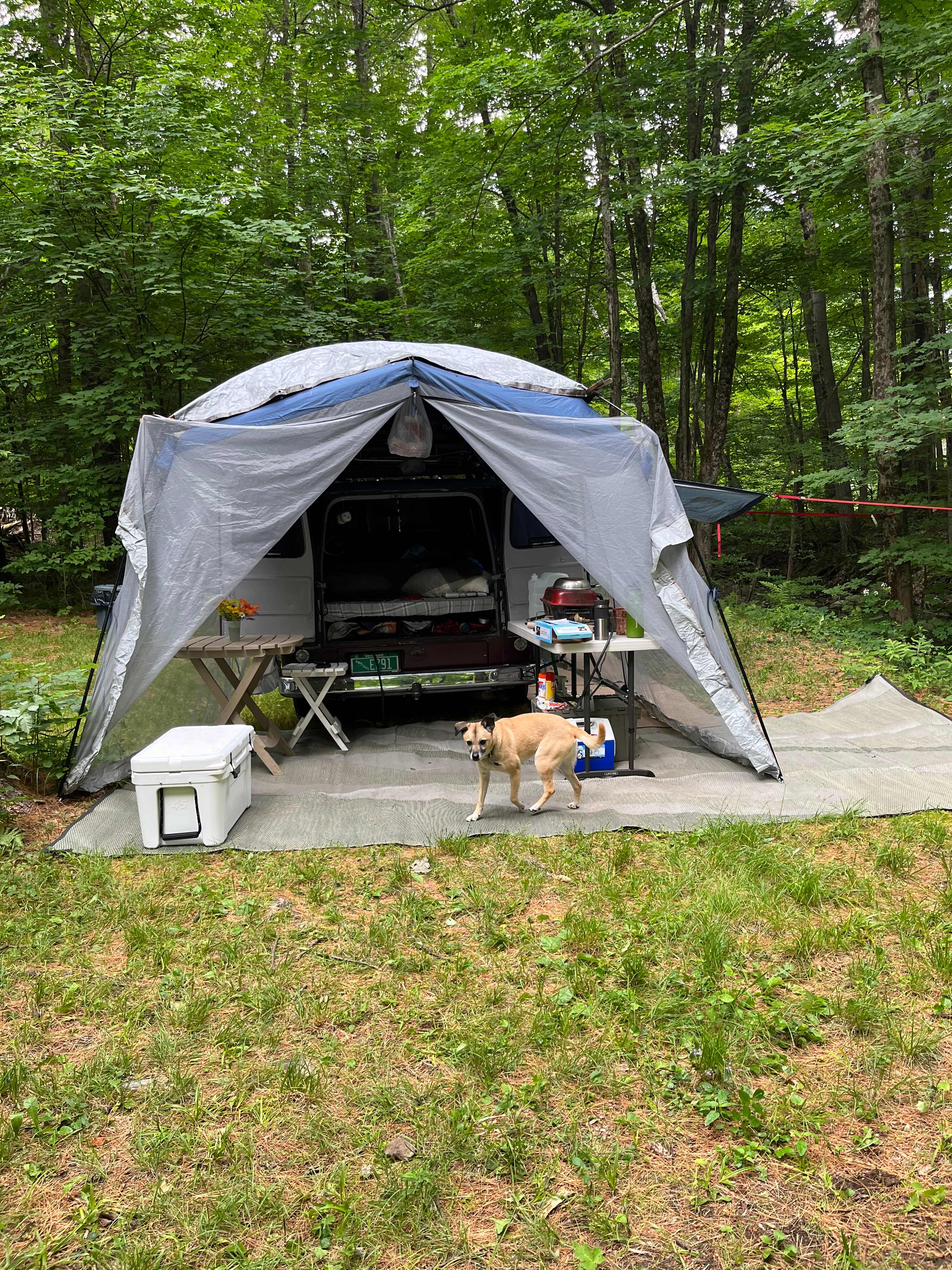 Texas Hill Brook & Dark Star Cabin