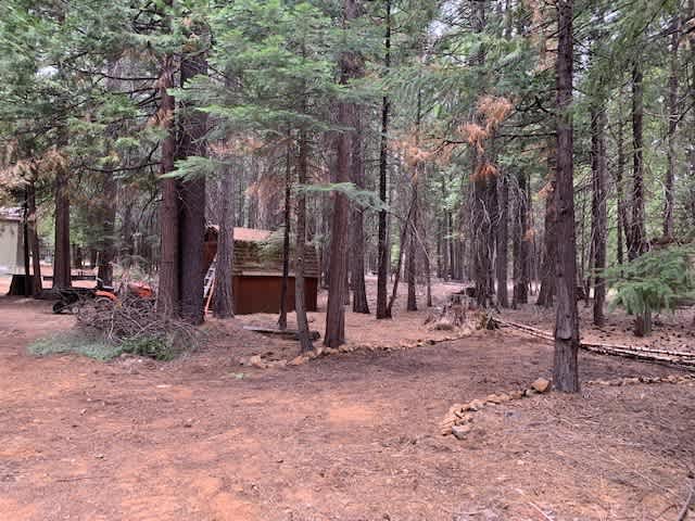Campsite #1 - Gracie