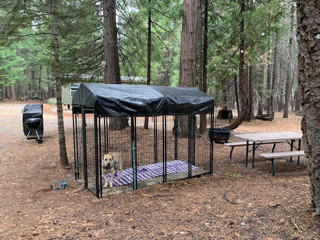 Kennel and picnic table