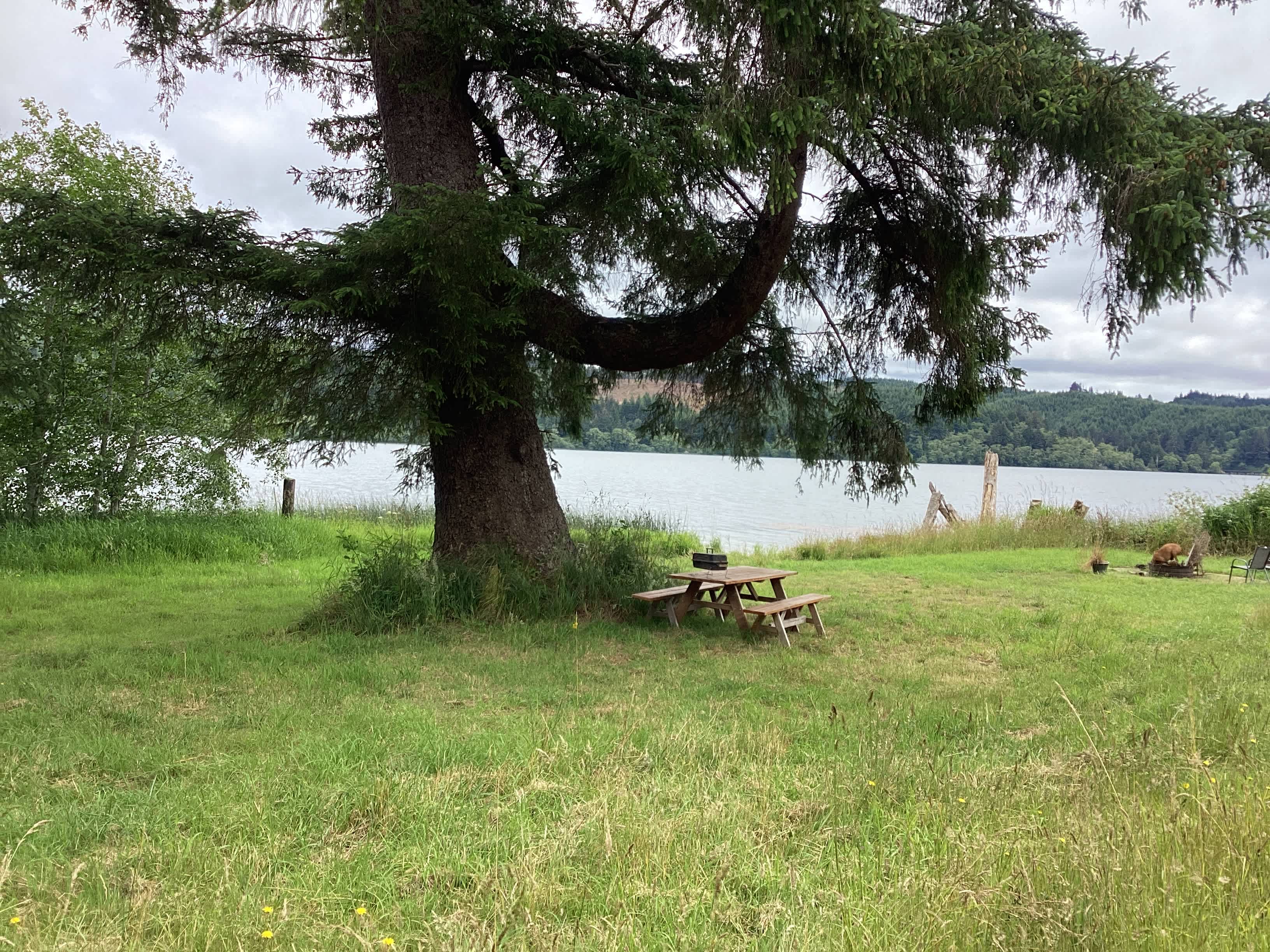 This is where you will be.  We have upgrade to a free standing gas BBQ, a new patio set with cushions, and hammocks.