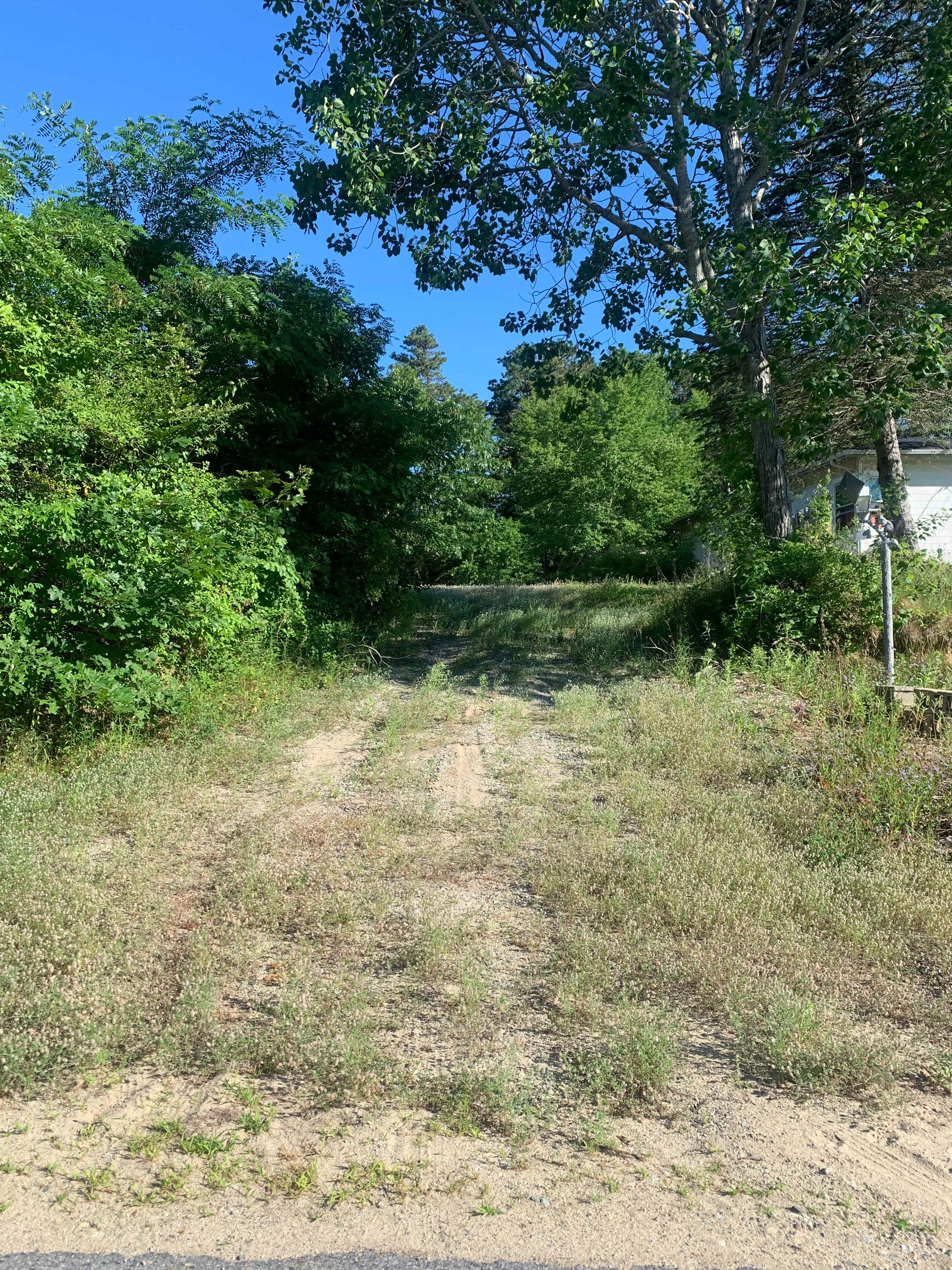 Plymouth Camping Spot