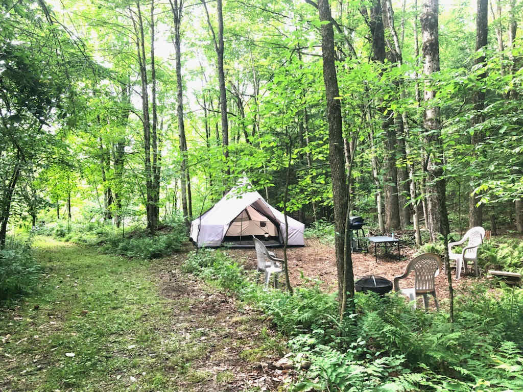 Picture of the site