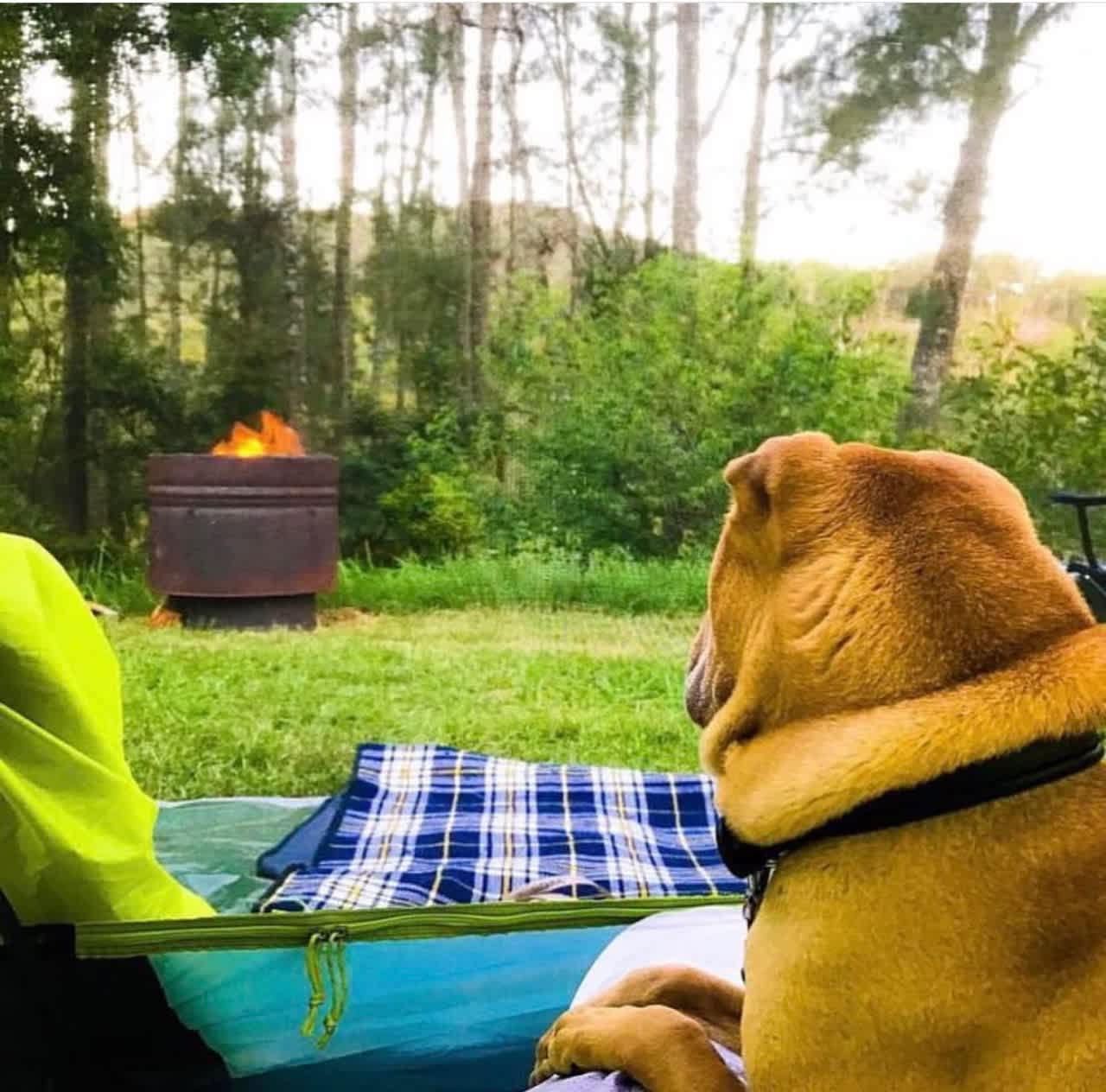 Grady's Riverside Retreat