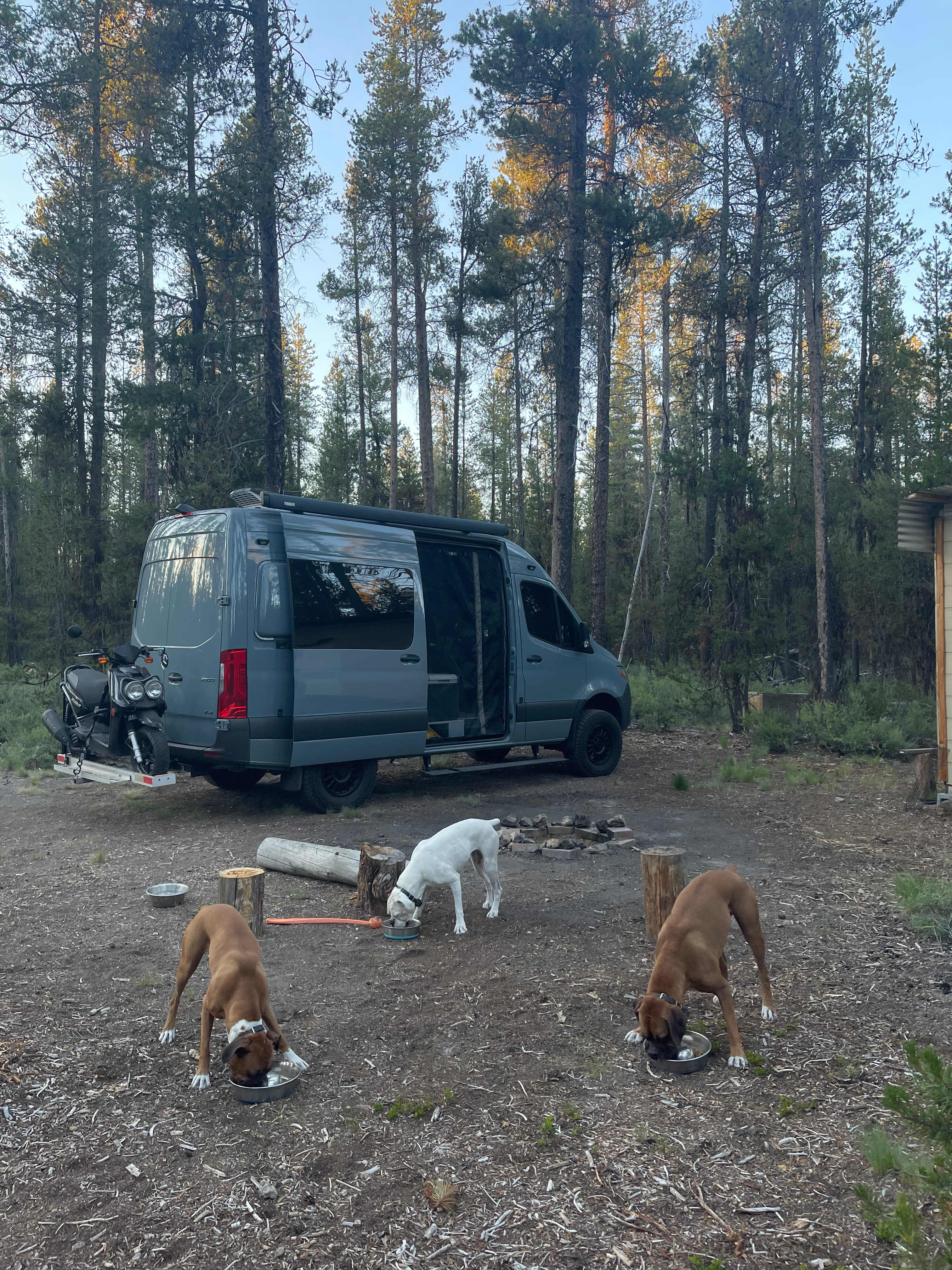 Mt. Scott Camping