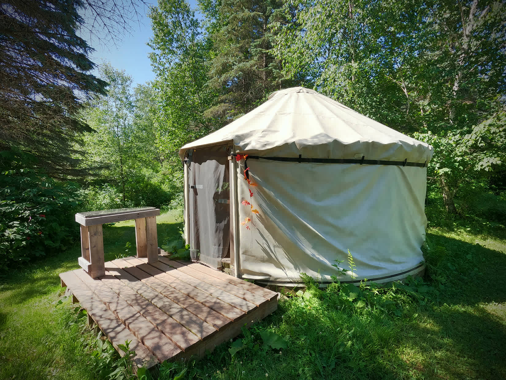 Picture of the site