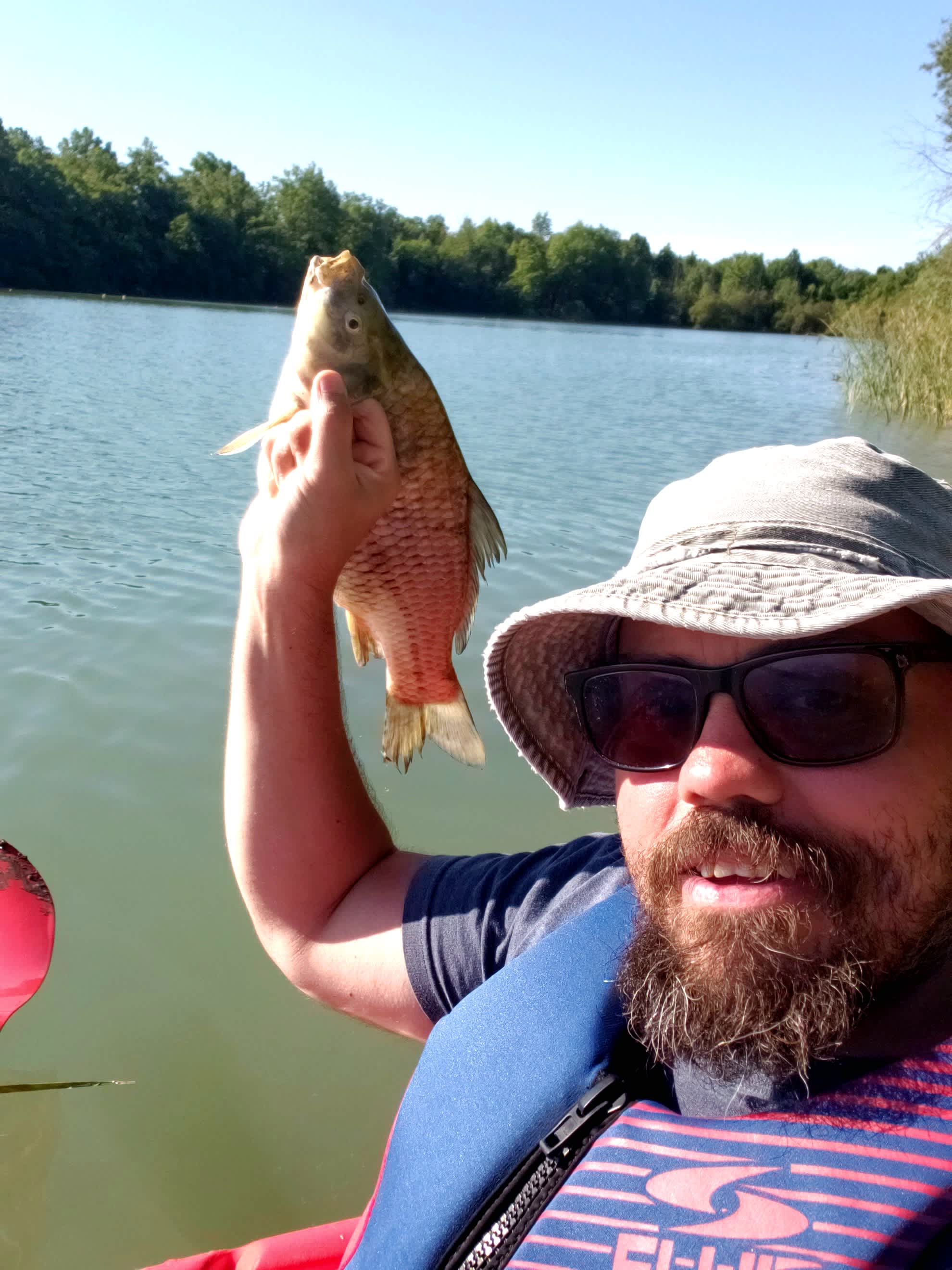 T's Pond