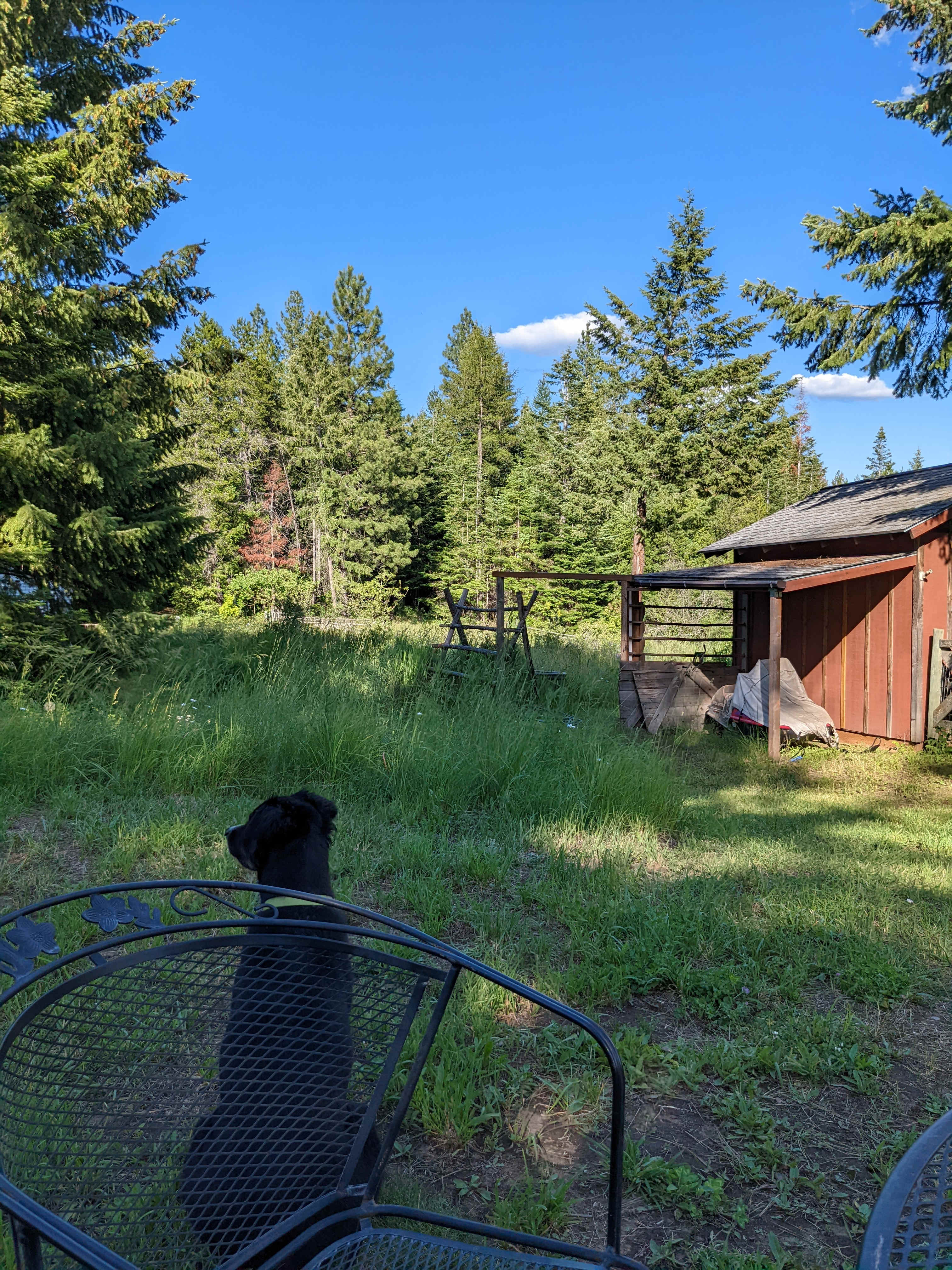 David's Hodge Podge Lodge Camping