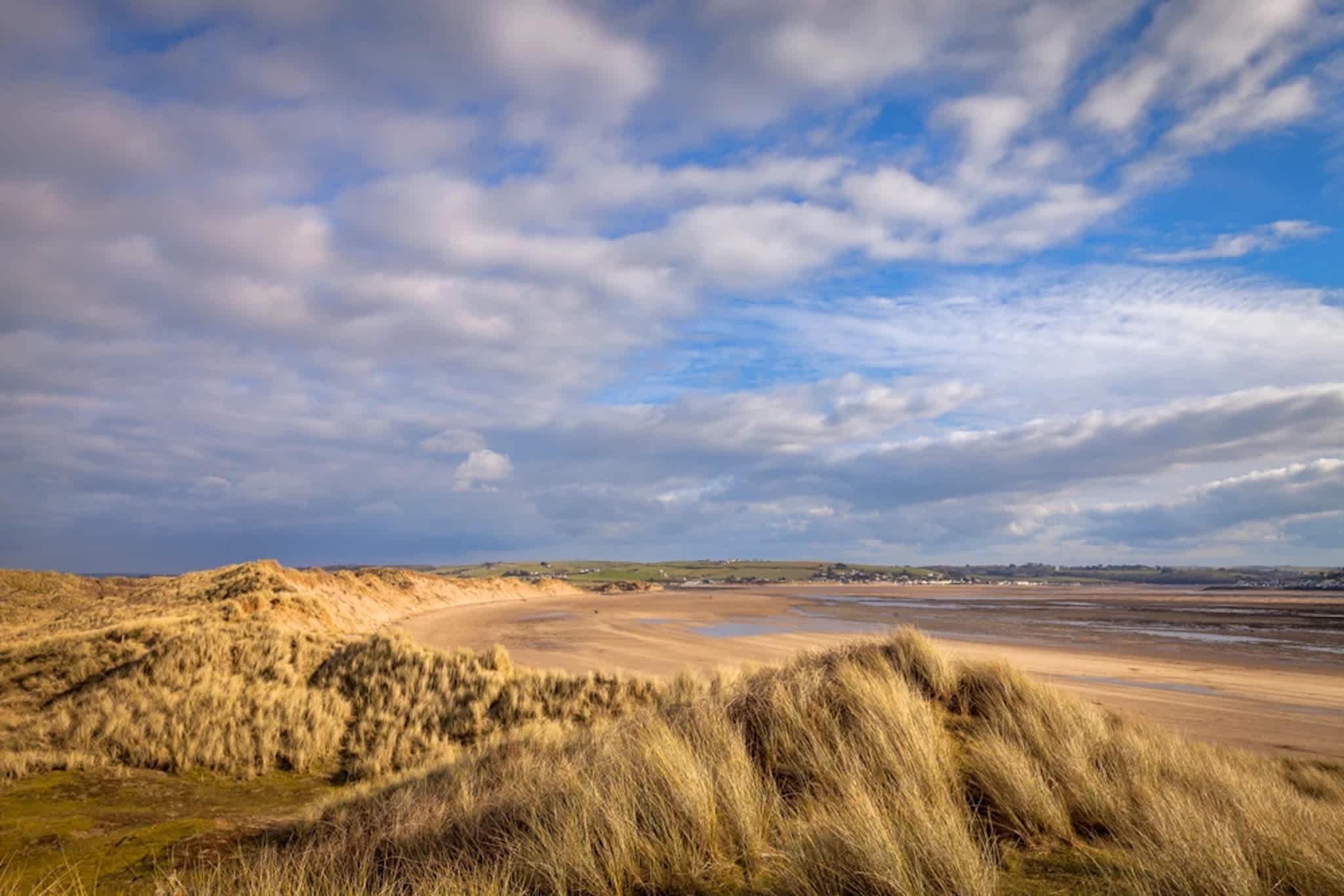 Braunton Burrows - 5 minute drive away, or 35 minute walk