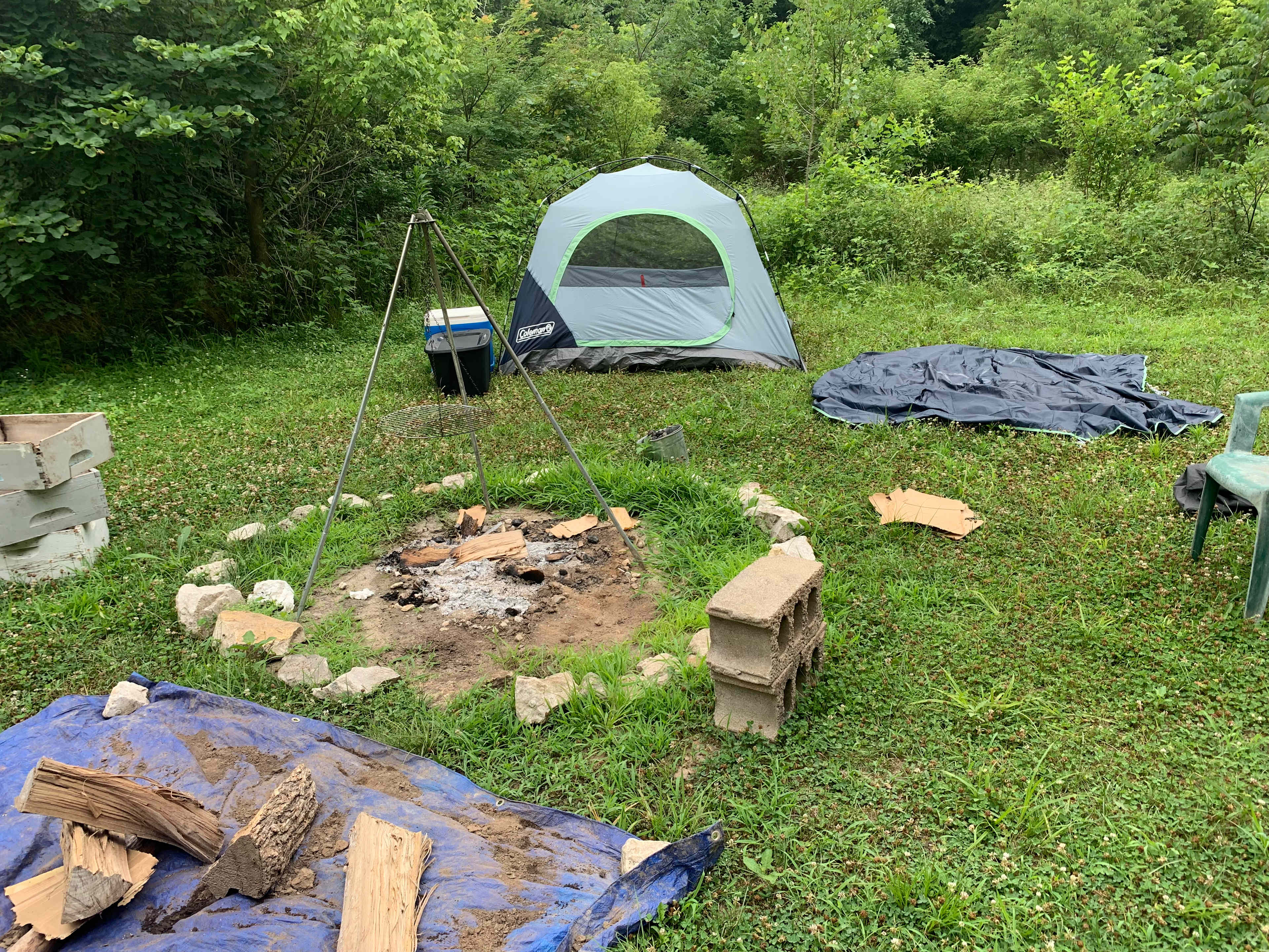 Picture of the site