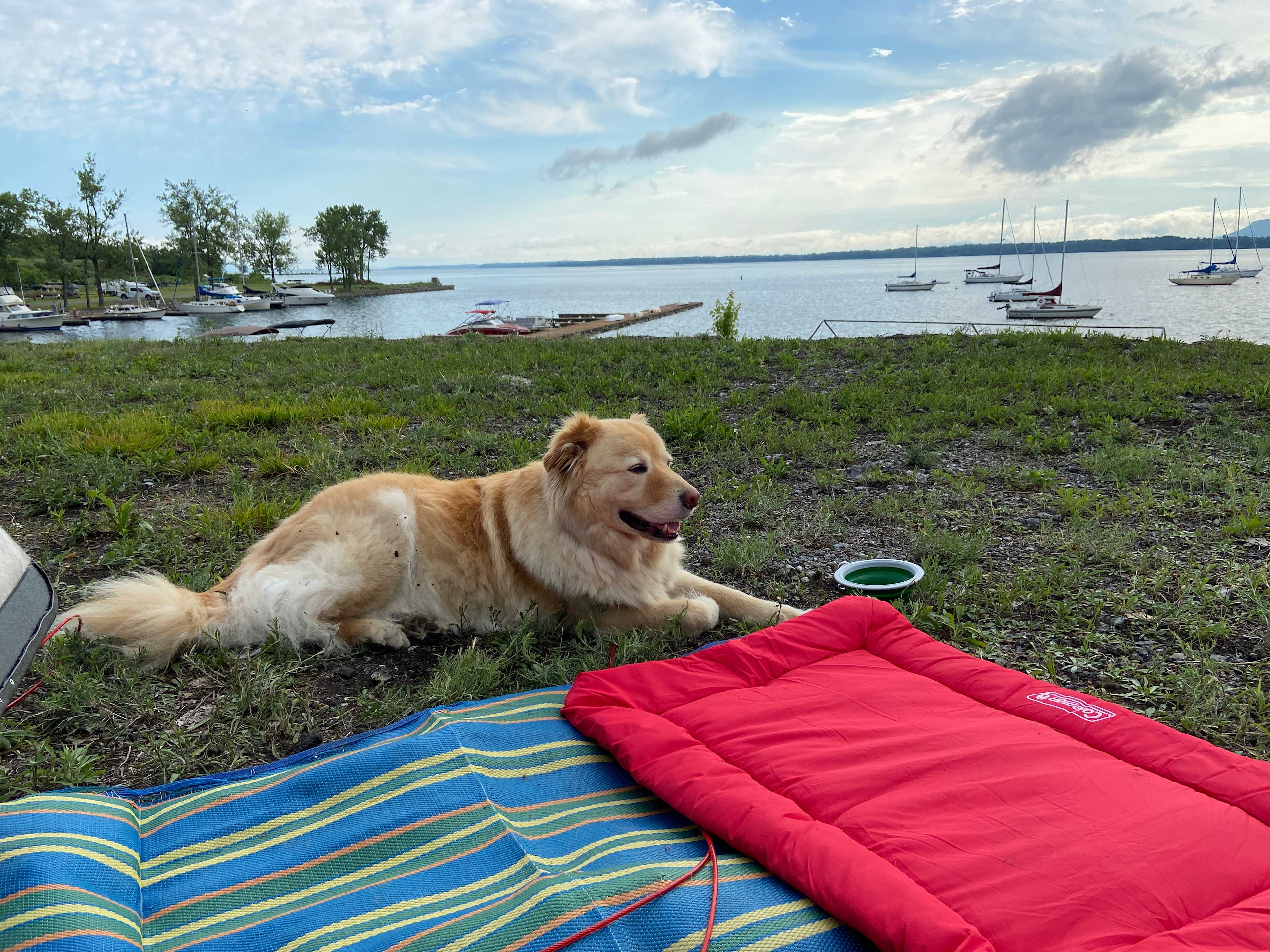 Bridgeview Harbour Marina