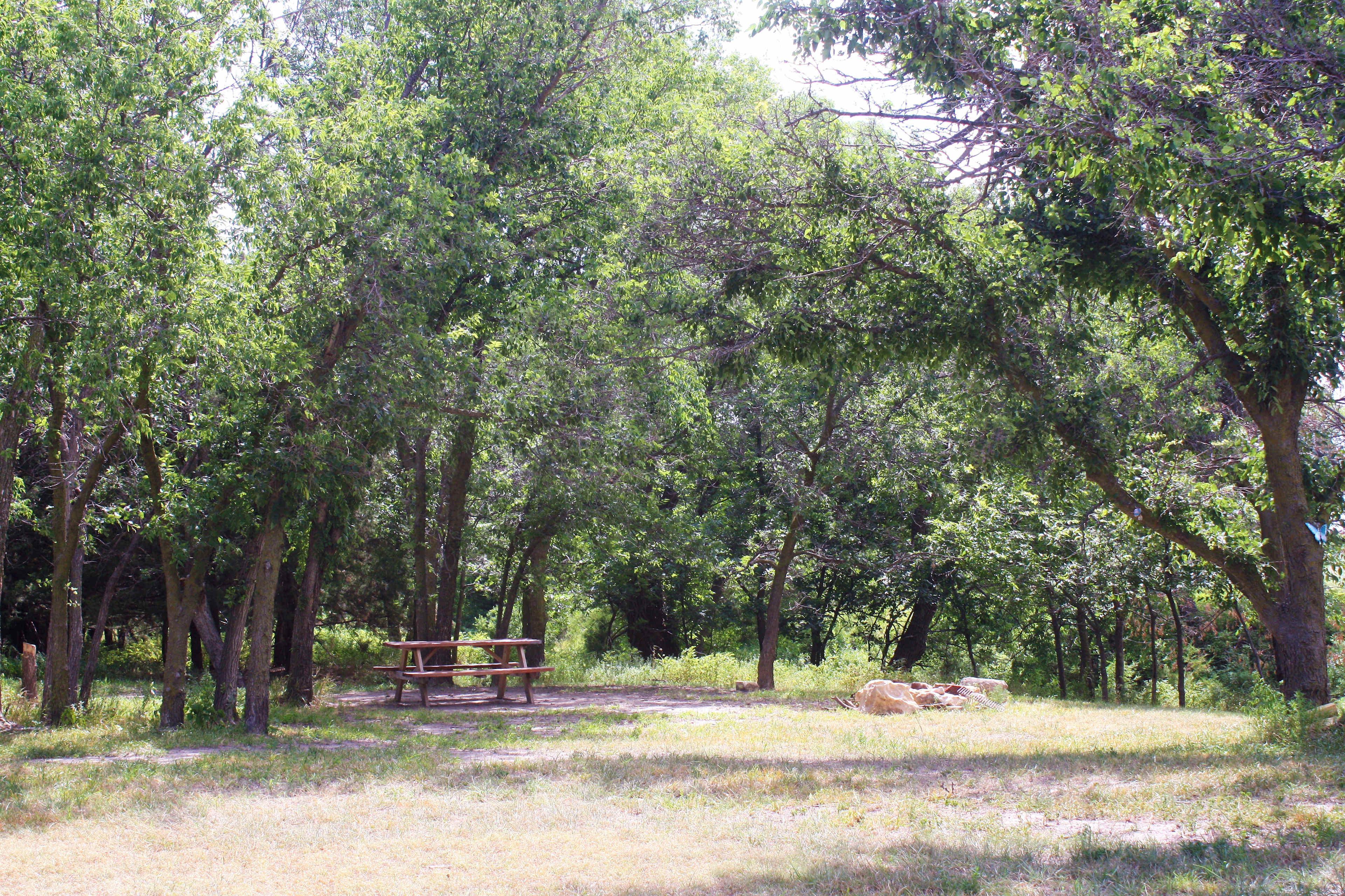 Picture of the site