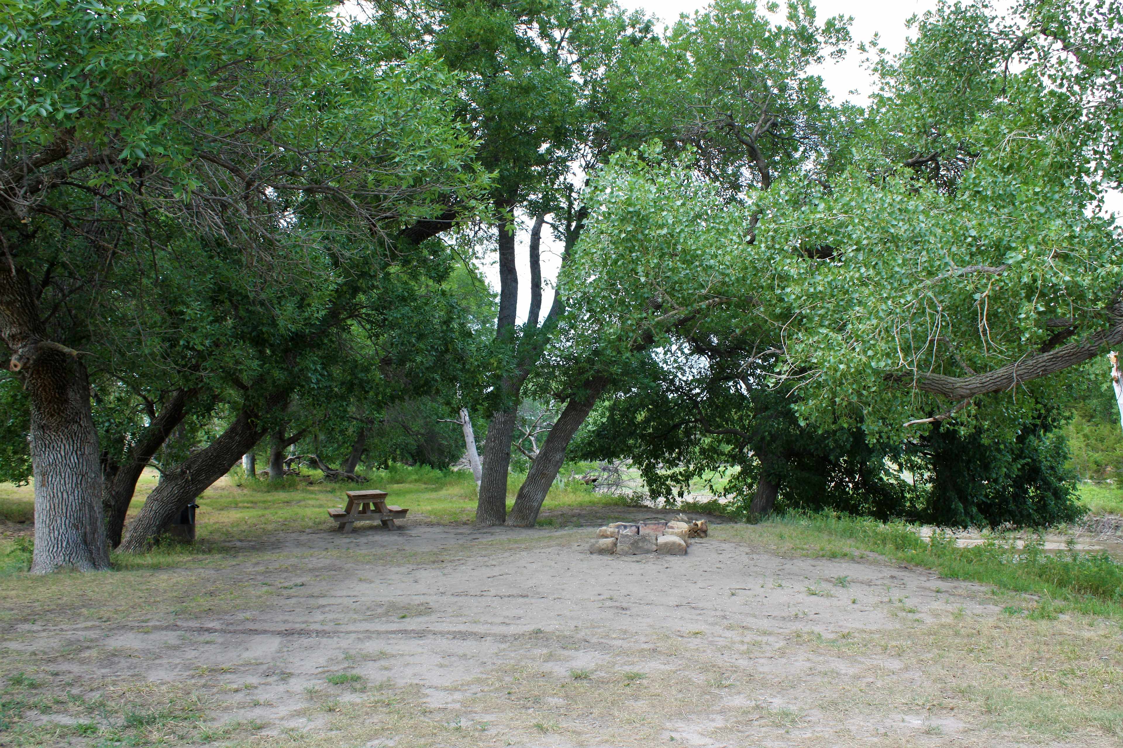 Picture of the site