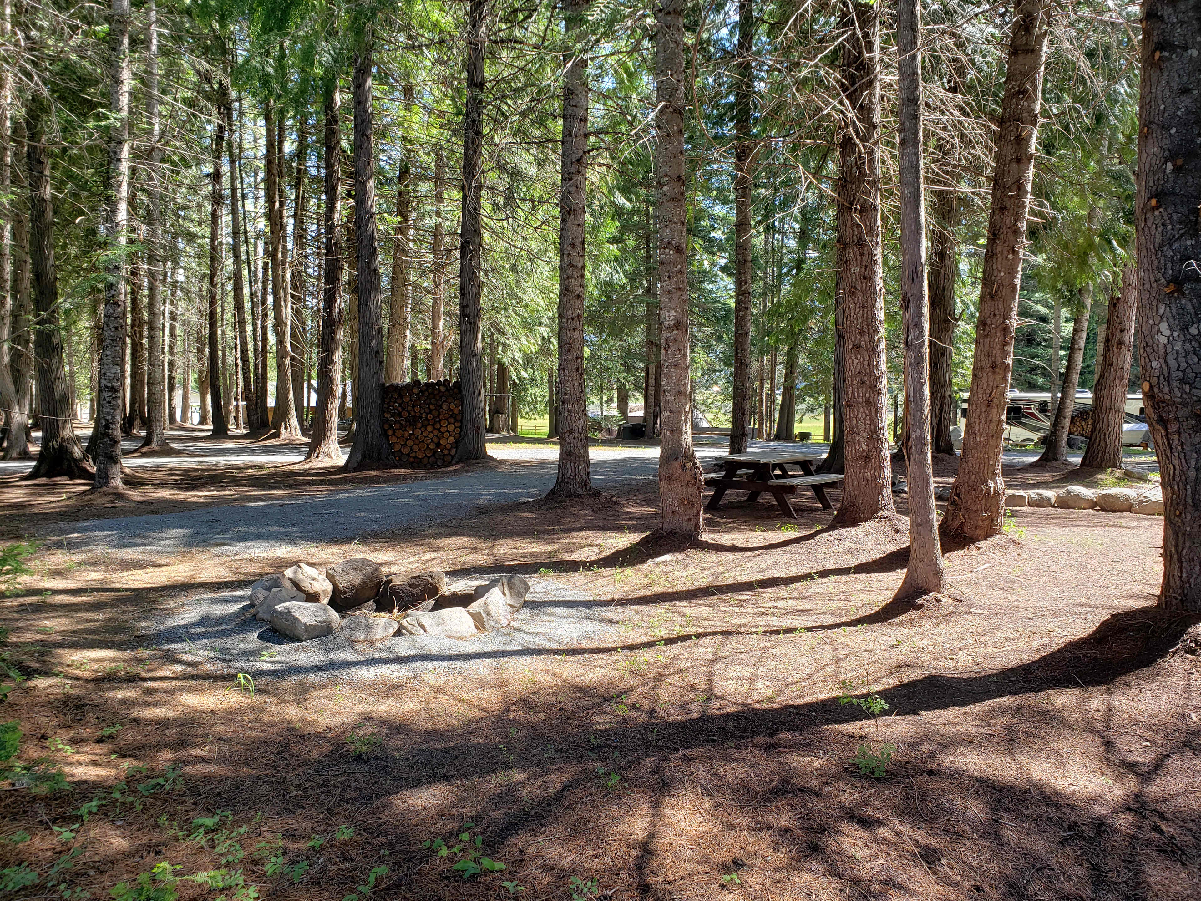 Picture of the site