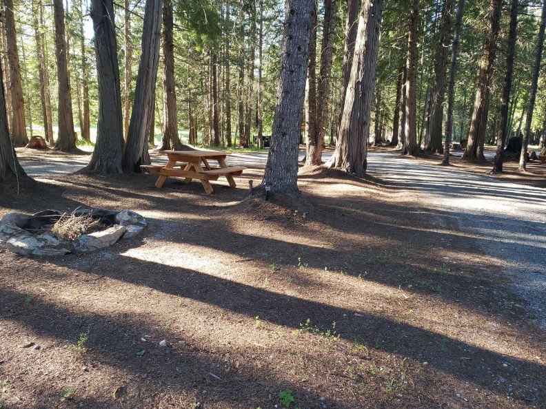 Picture of the site